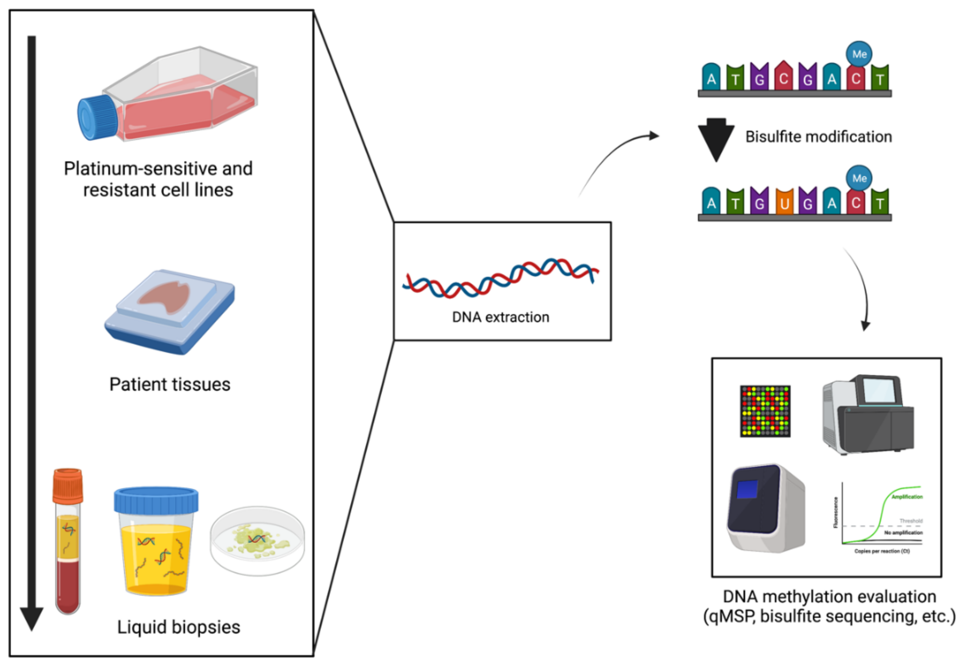 https://www.mdpi.com/cancers/cancers-14-02918/article_deploy/html/images/cancers-14-02918-g001.png