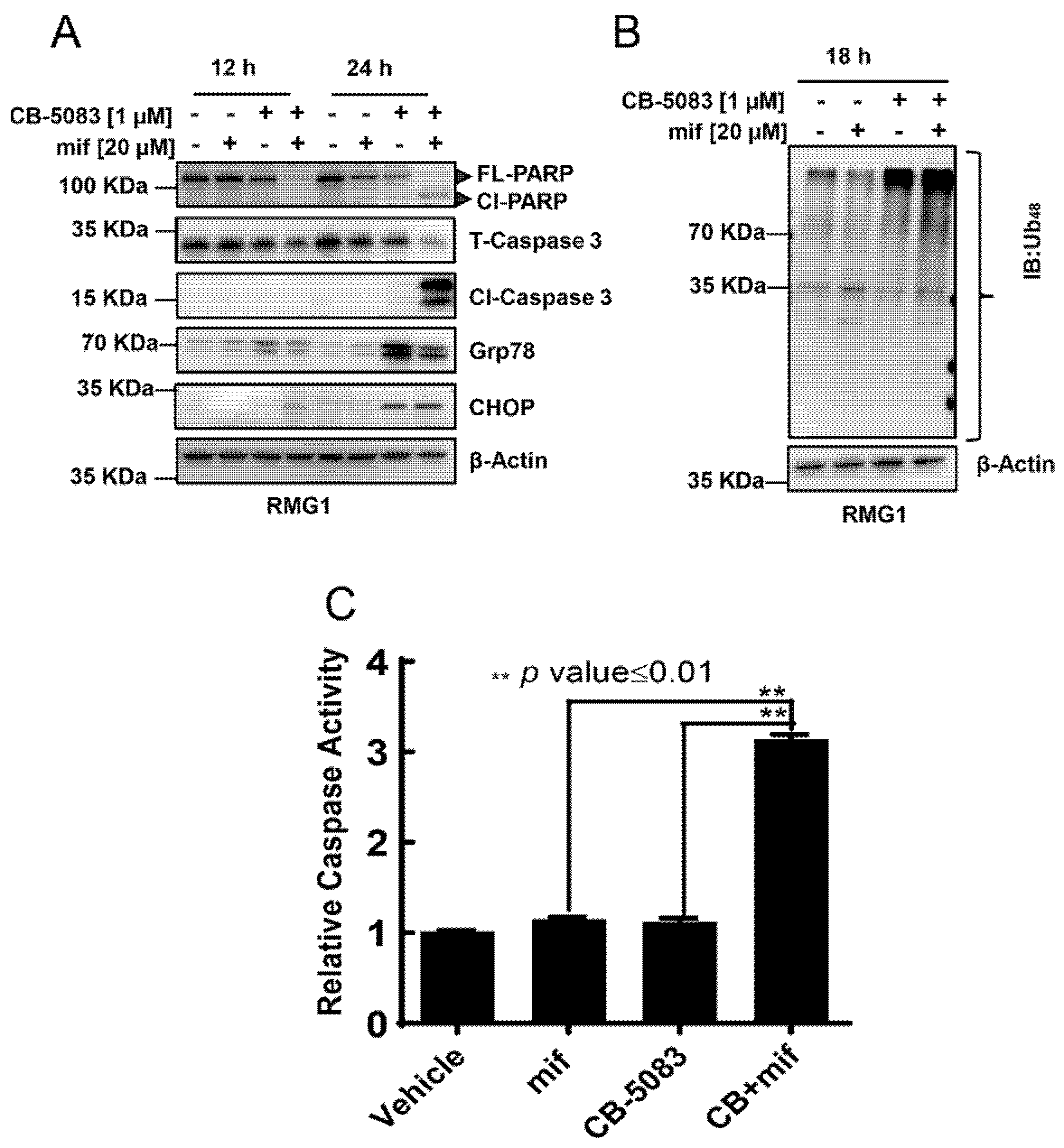 Cancers 14 02949 g003