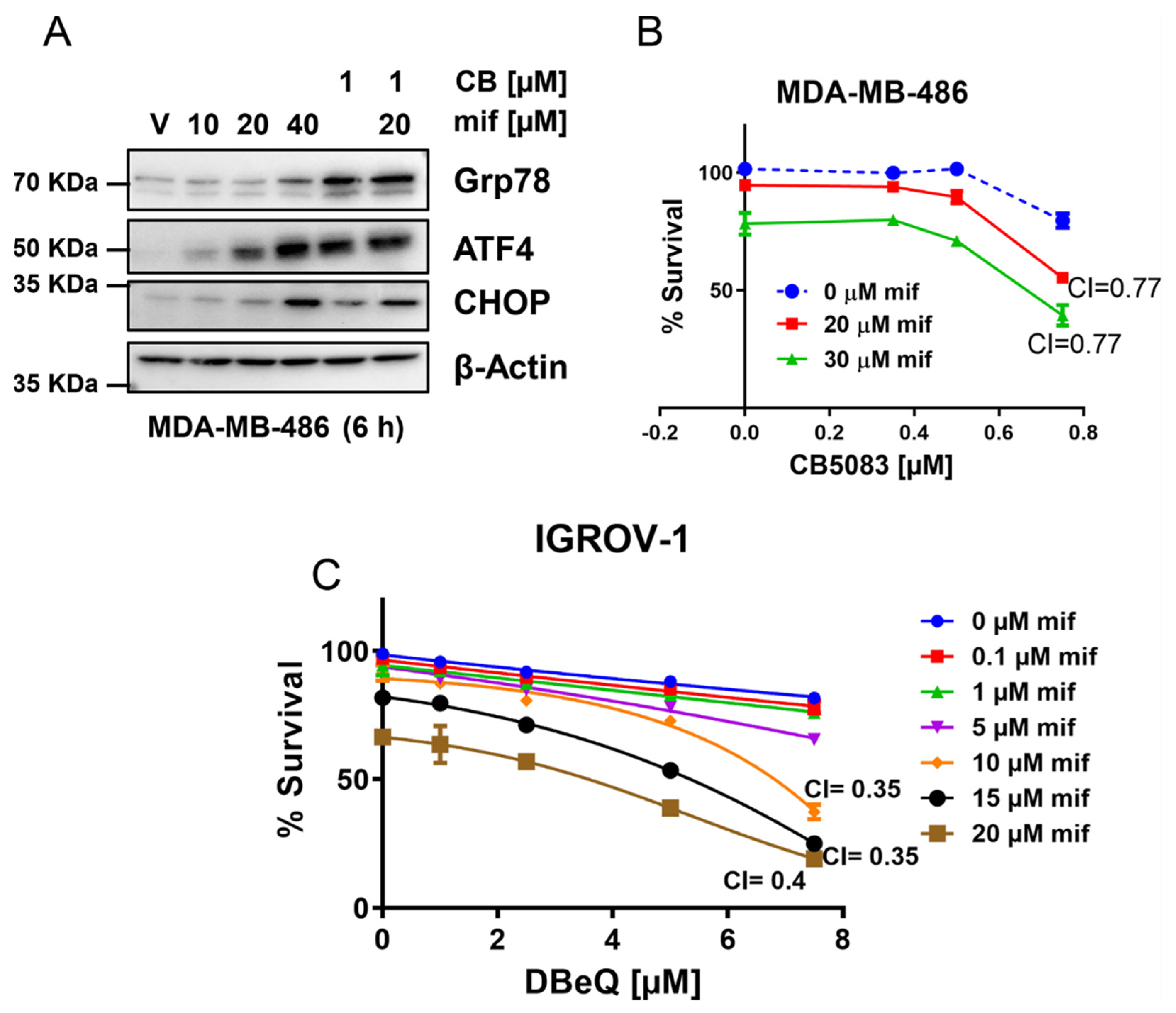 Cancers 14 02949 g004