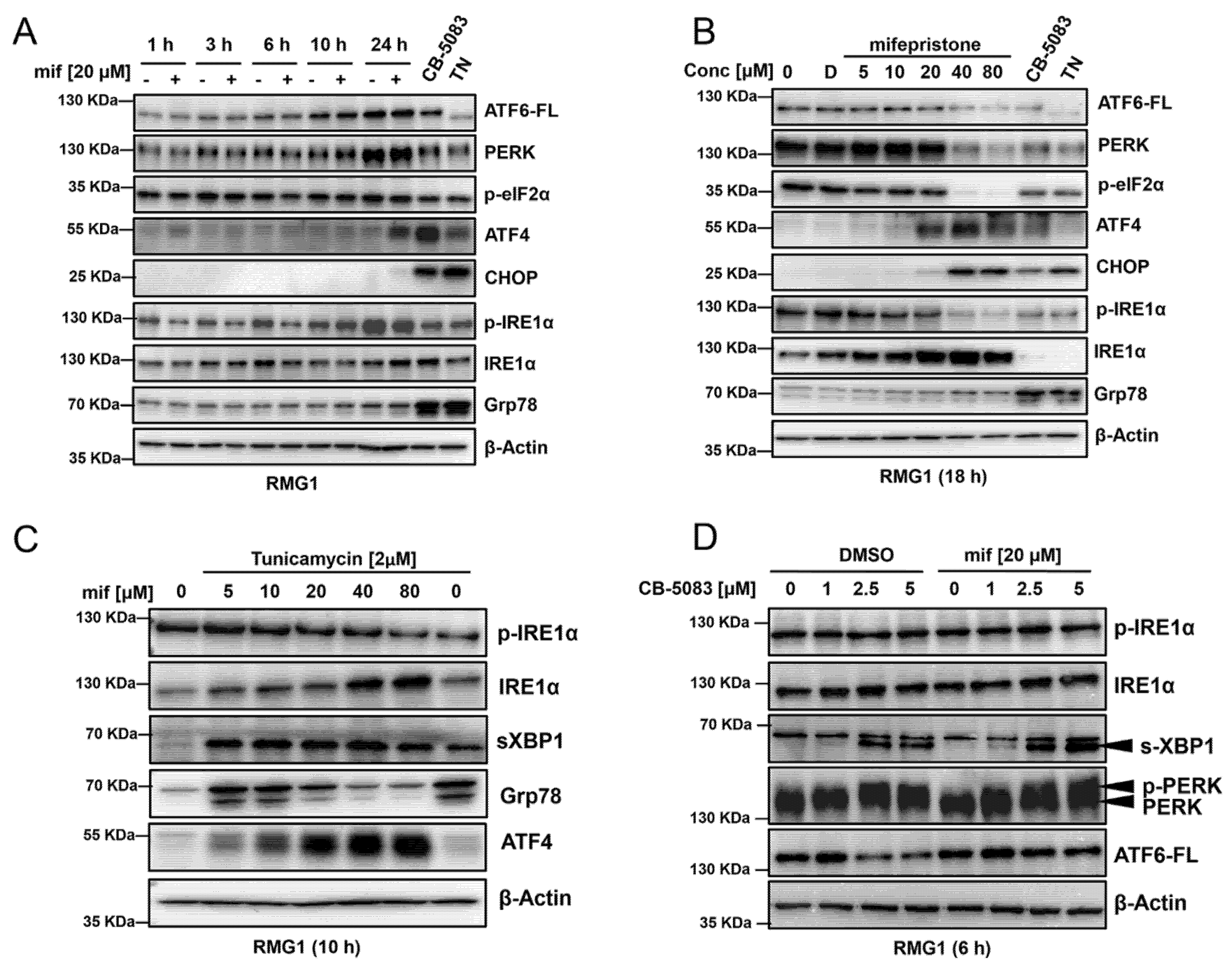 Cancers 14 02949 g005