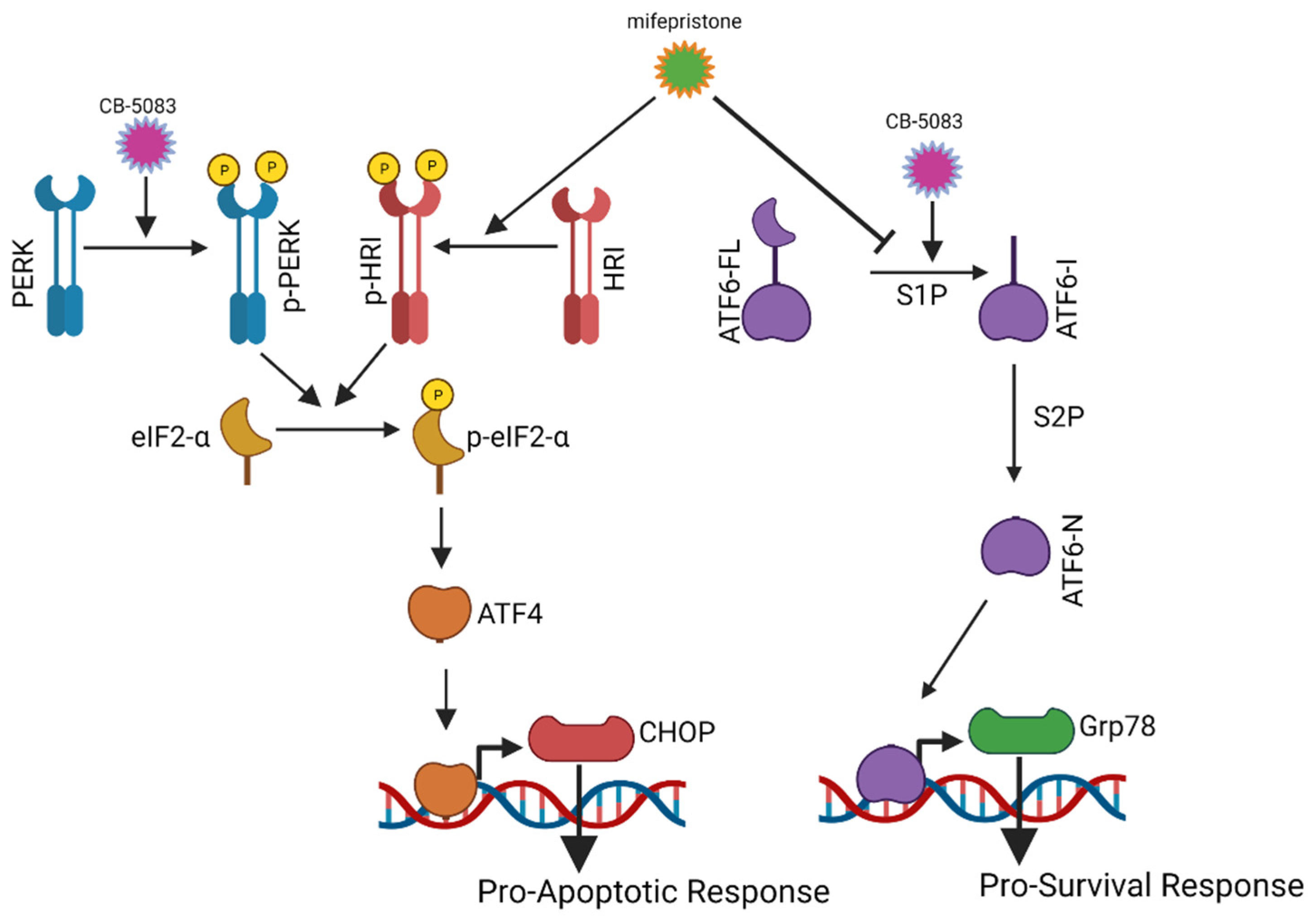 Cancers 14 02949 g008