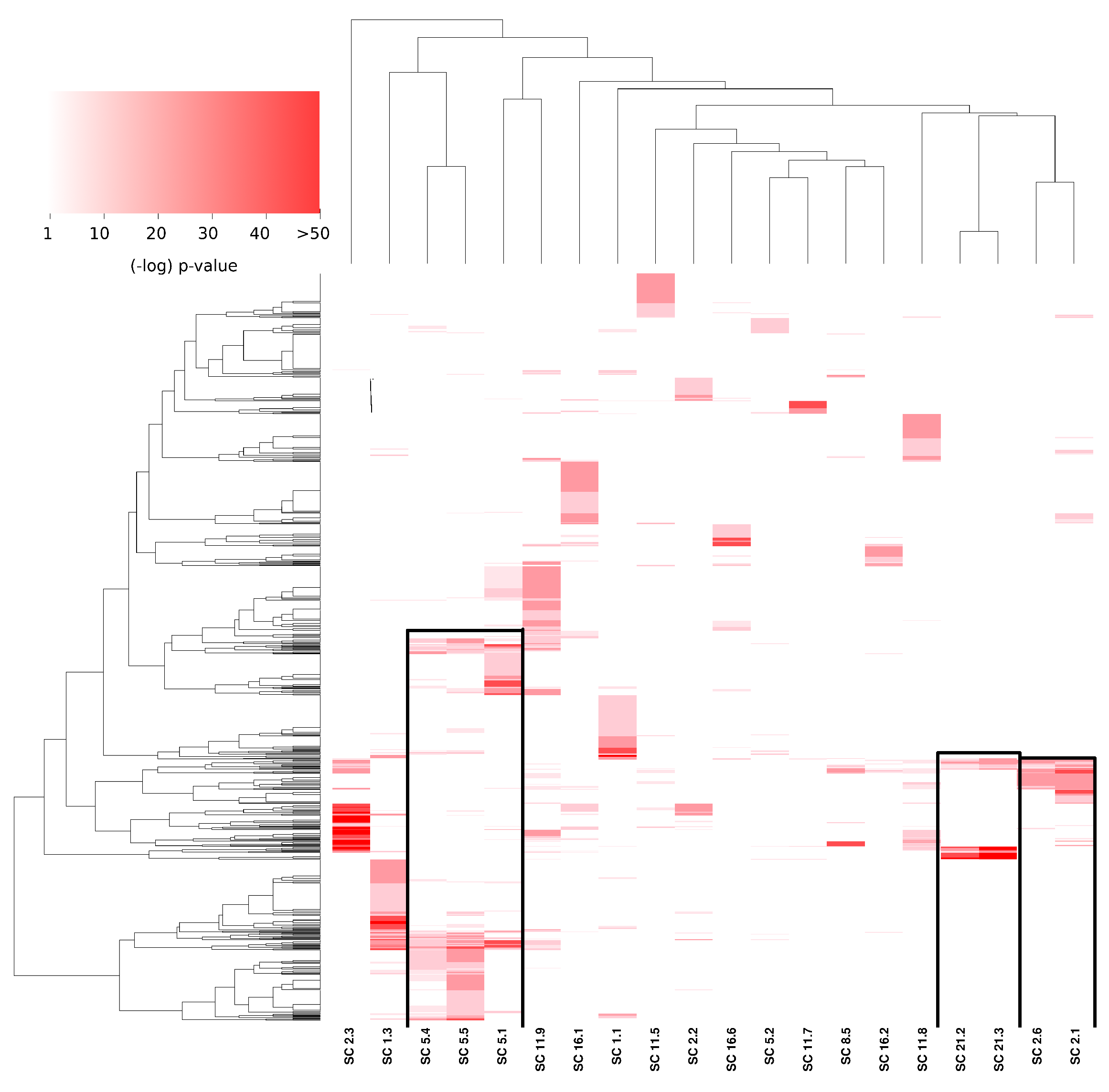 Cancers 14 02957 g004