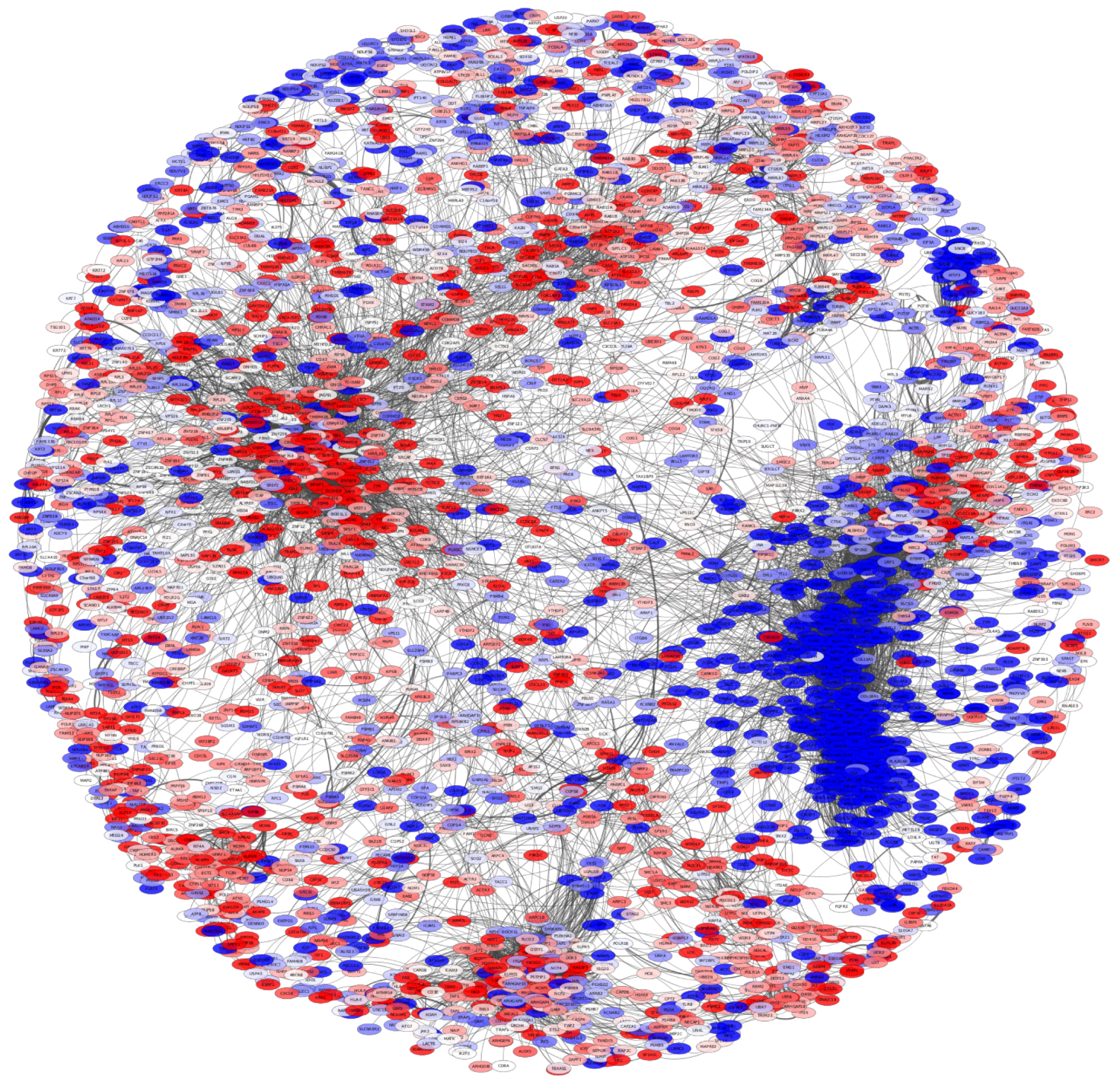 Cancers 14 02957 g006