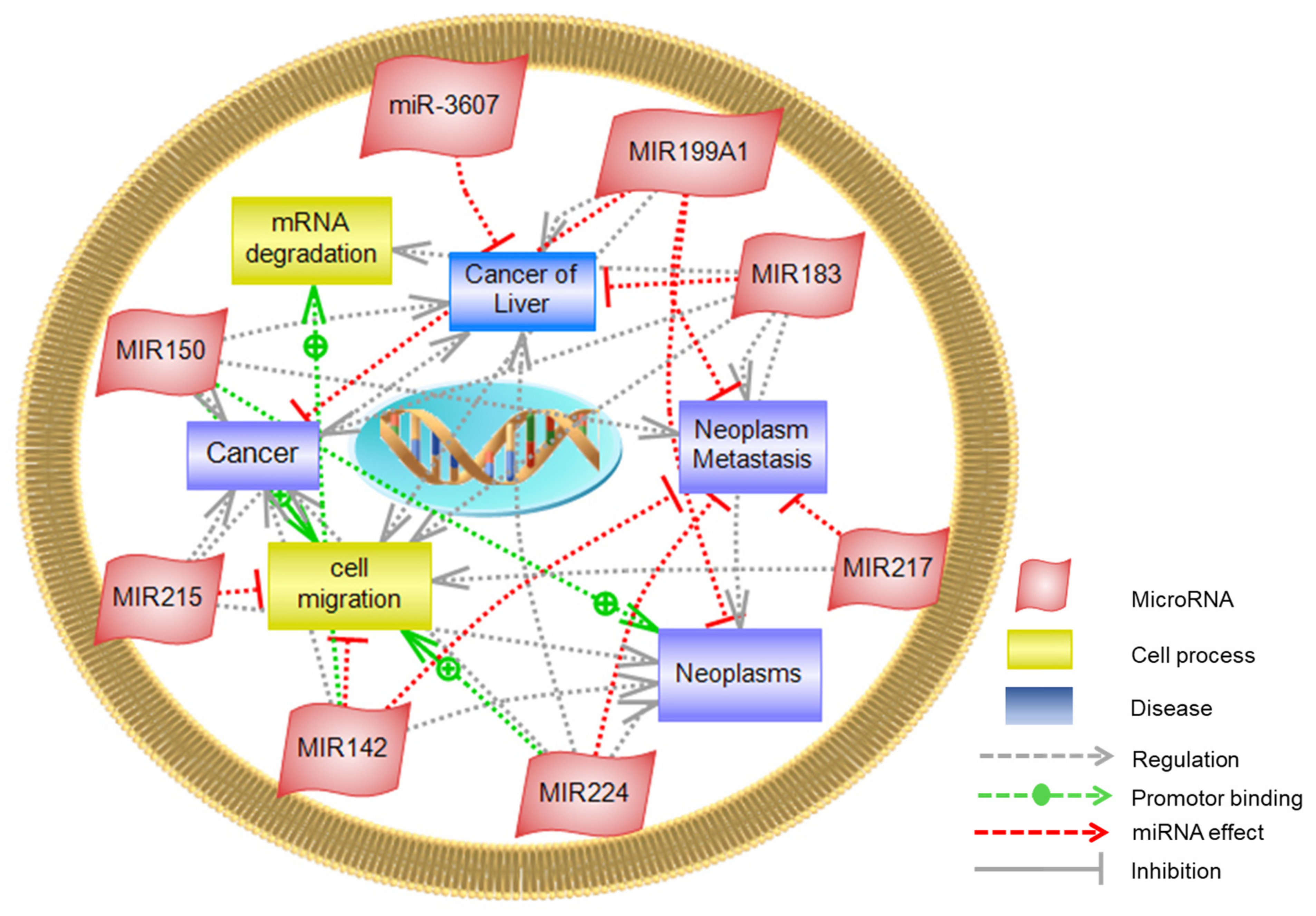 Cancers 14 03036 g017