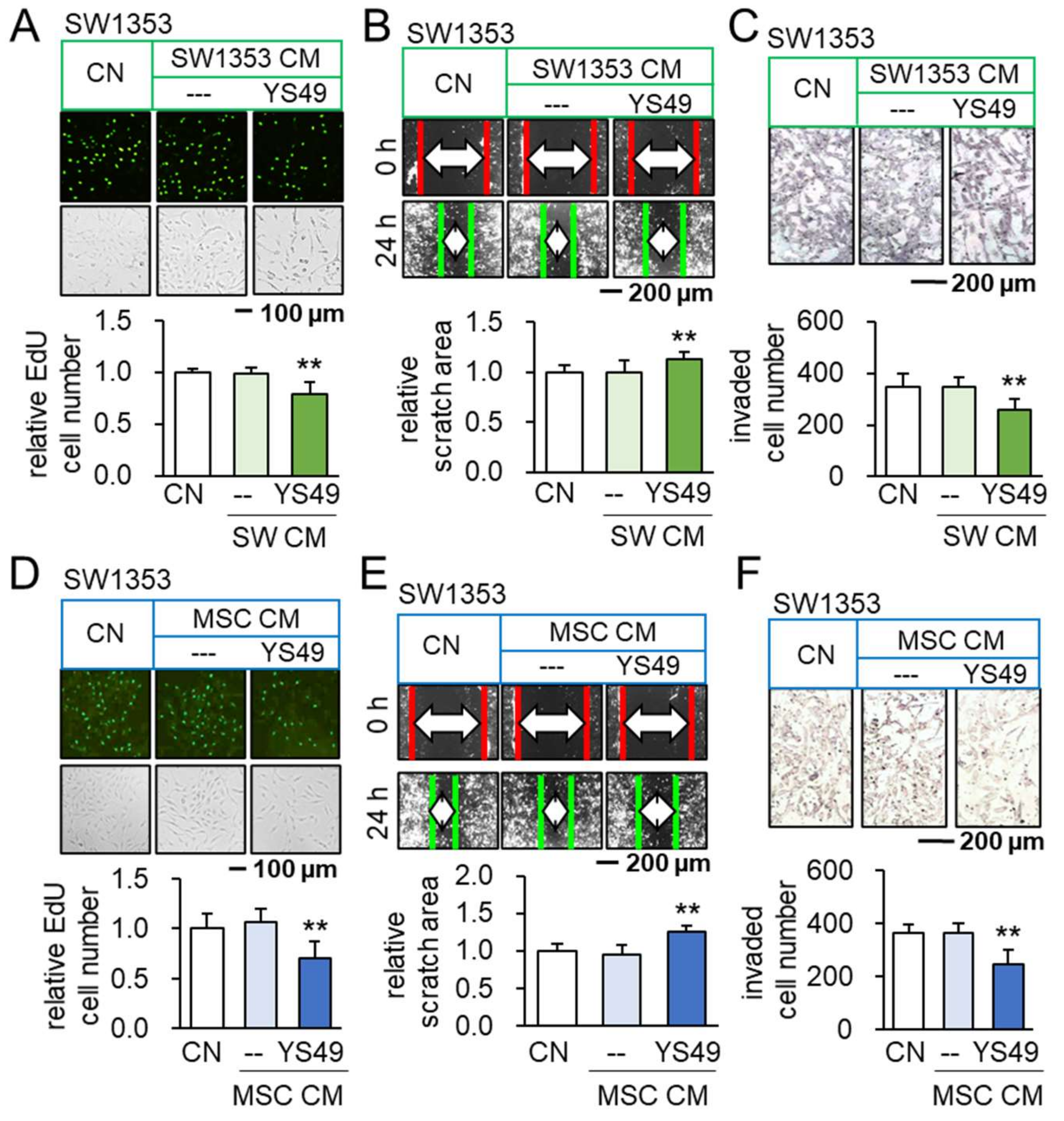 Cancers 14 03039 g001