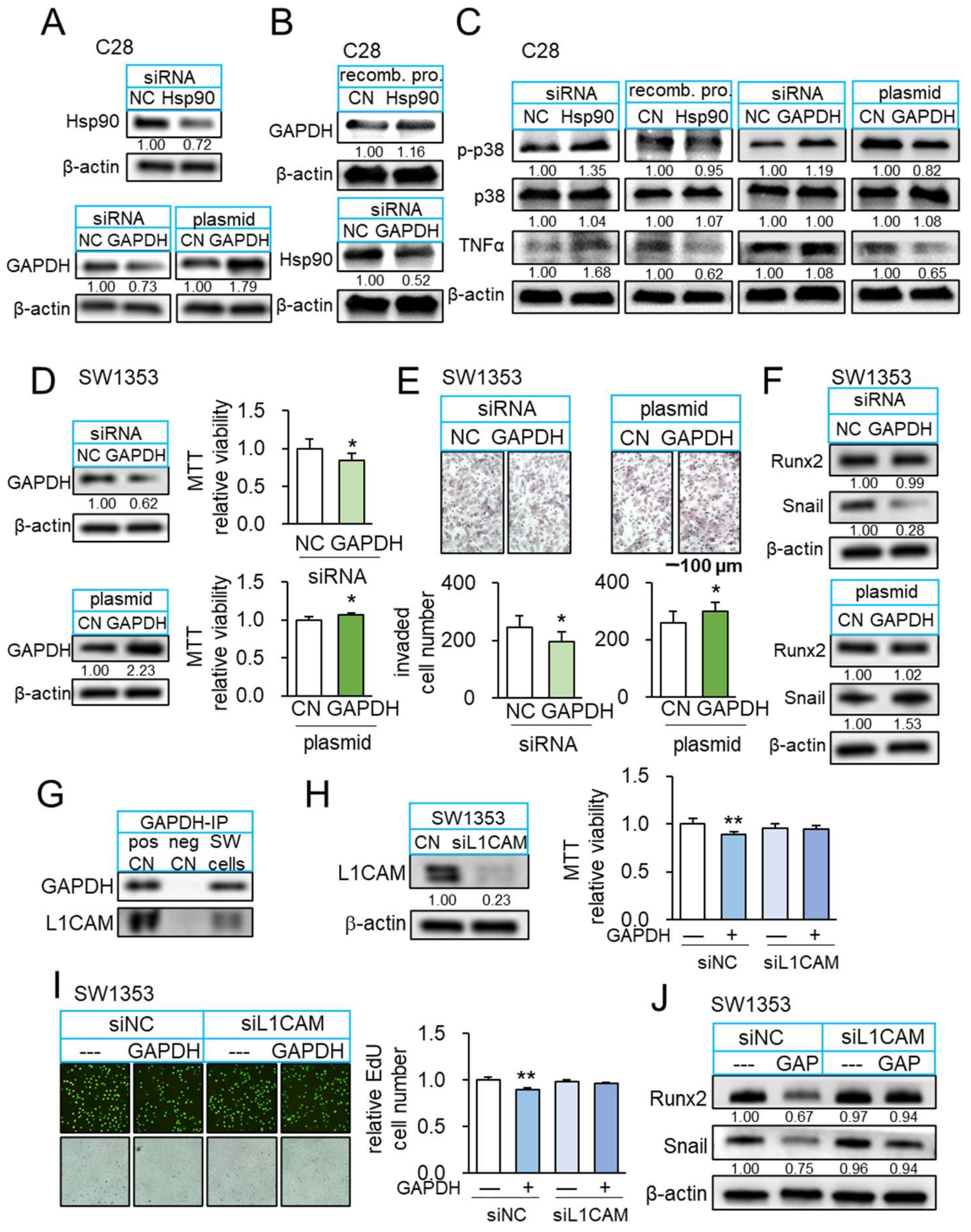 Cancers 14 03039 g006