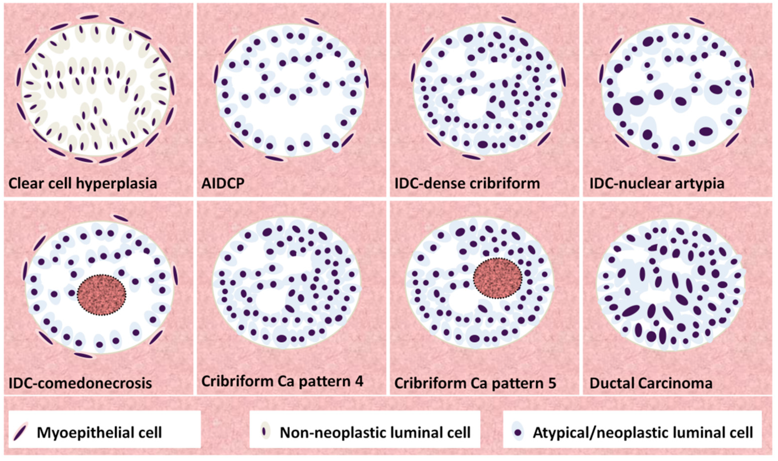 Cancers 14 03041 g006 Cancers 14 03041 g006