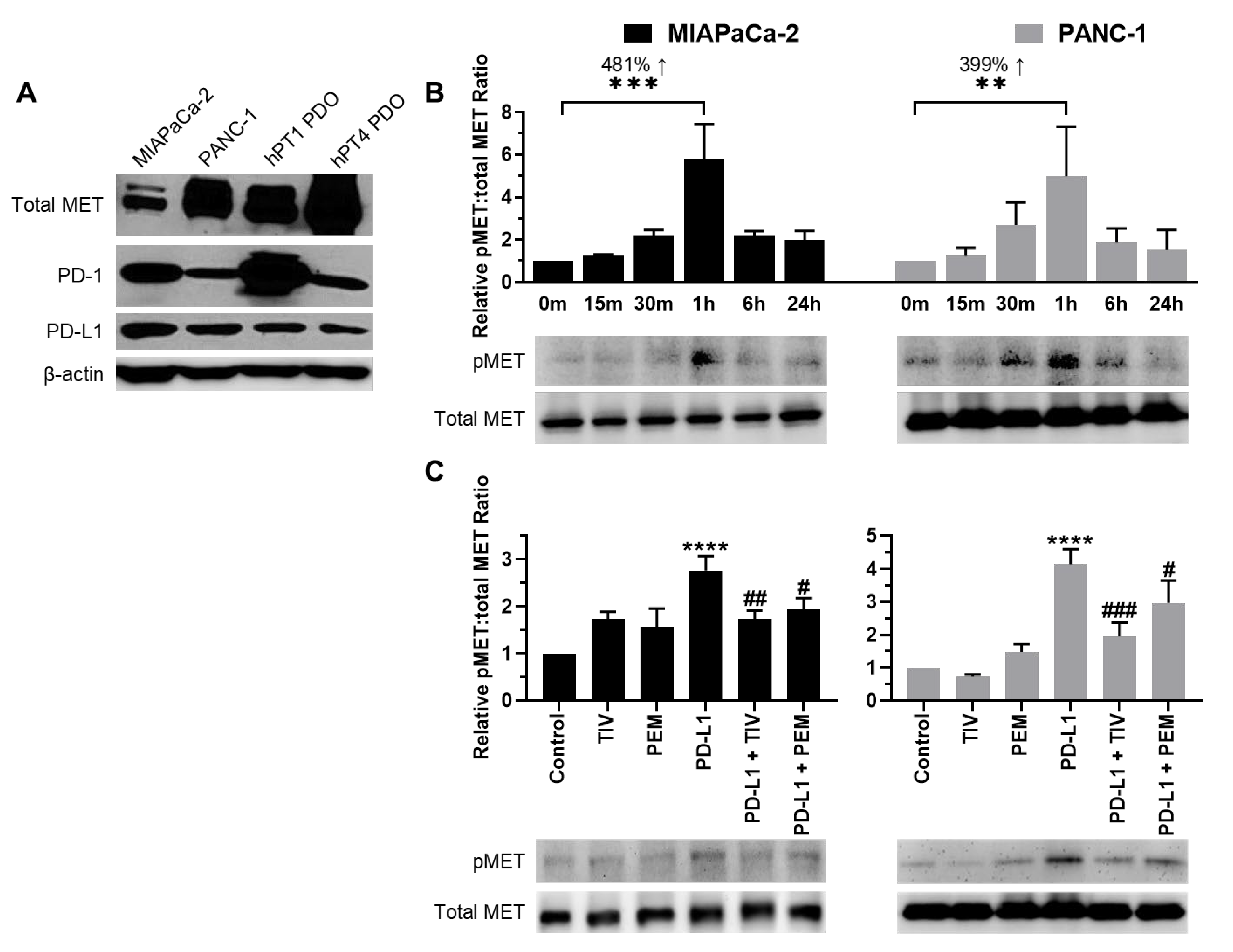Cancers 14 03051 g001