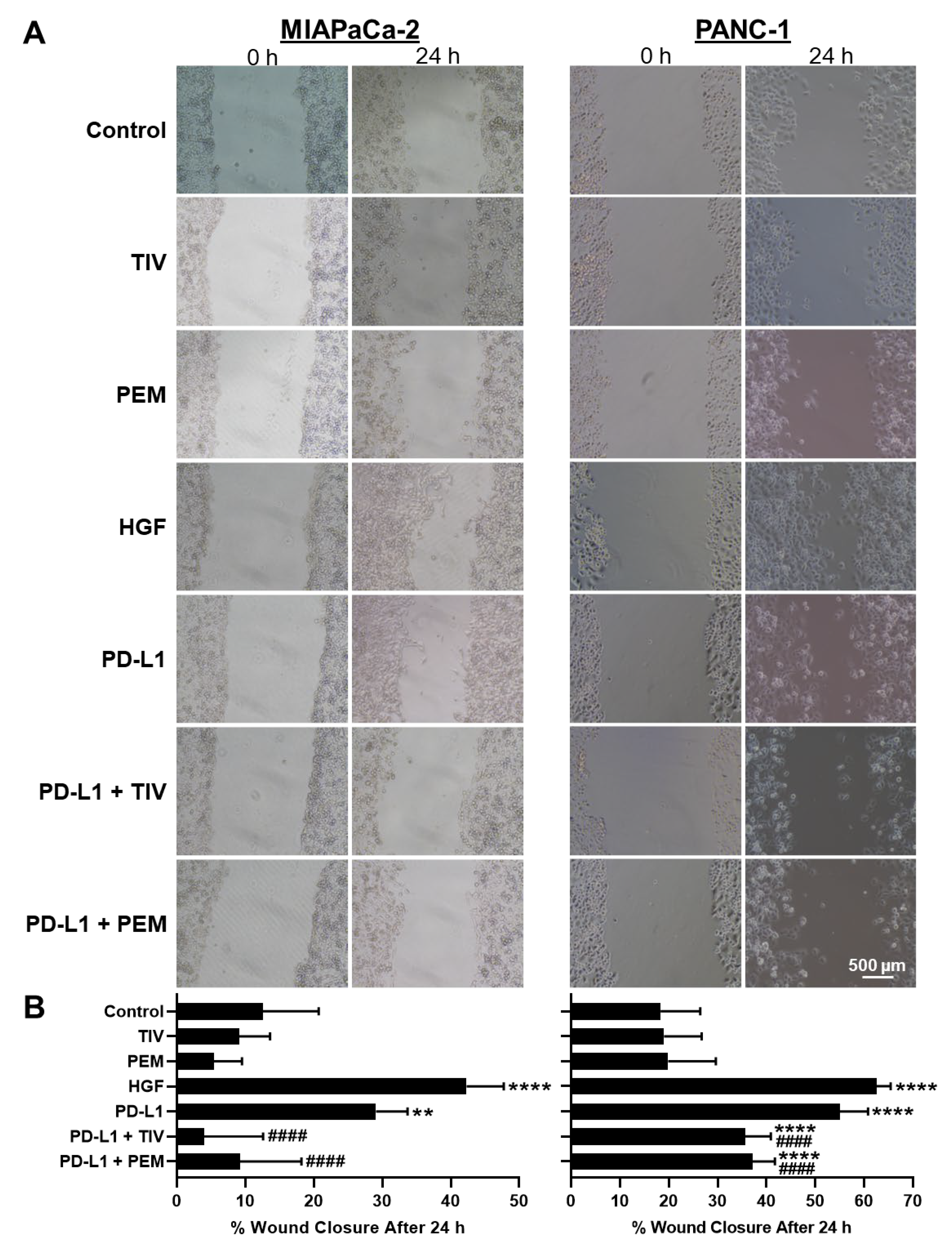 Cancers 14 03051 g002a