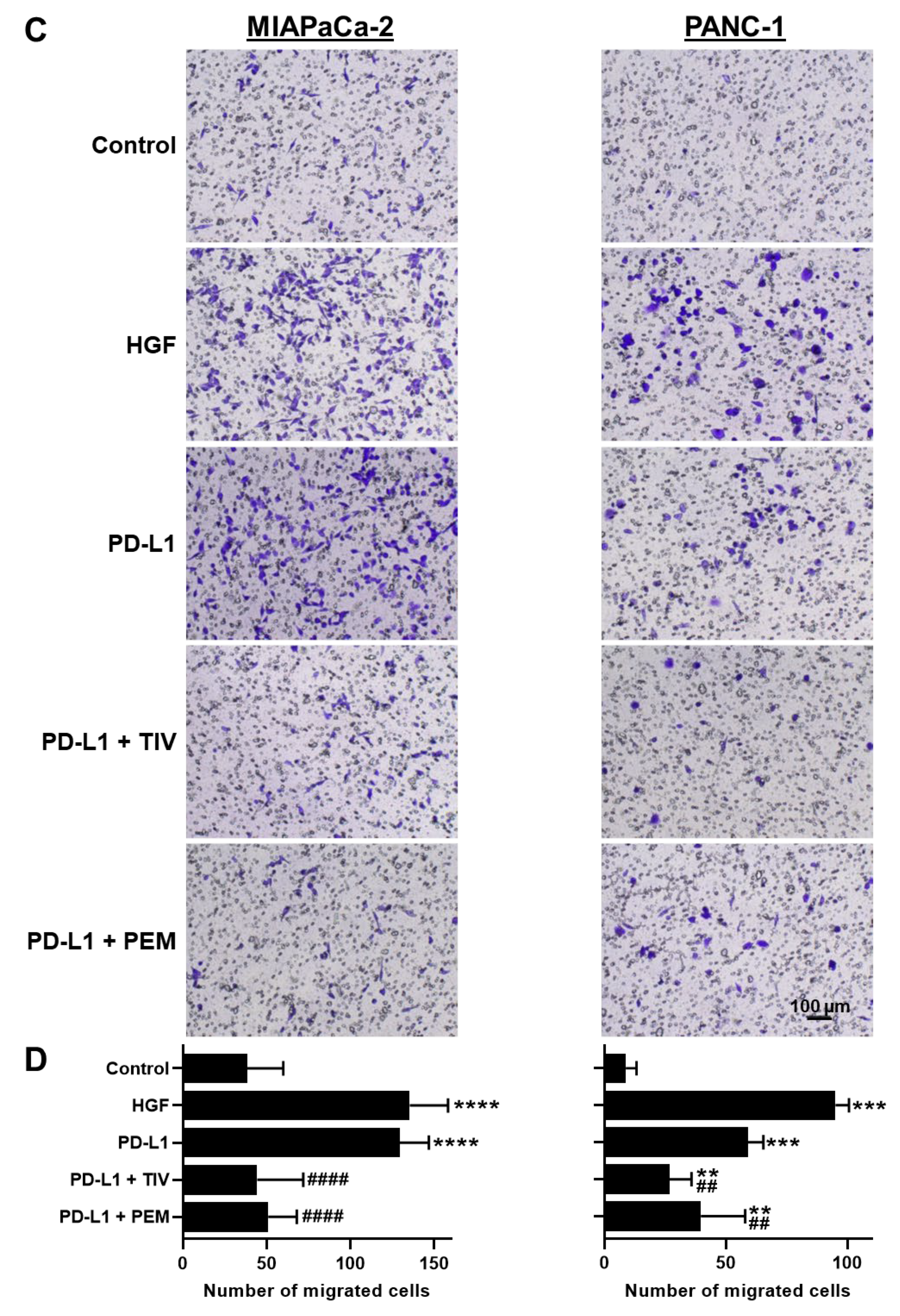 Cancers 14 03051 g002b