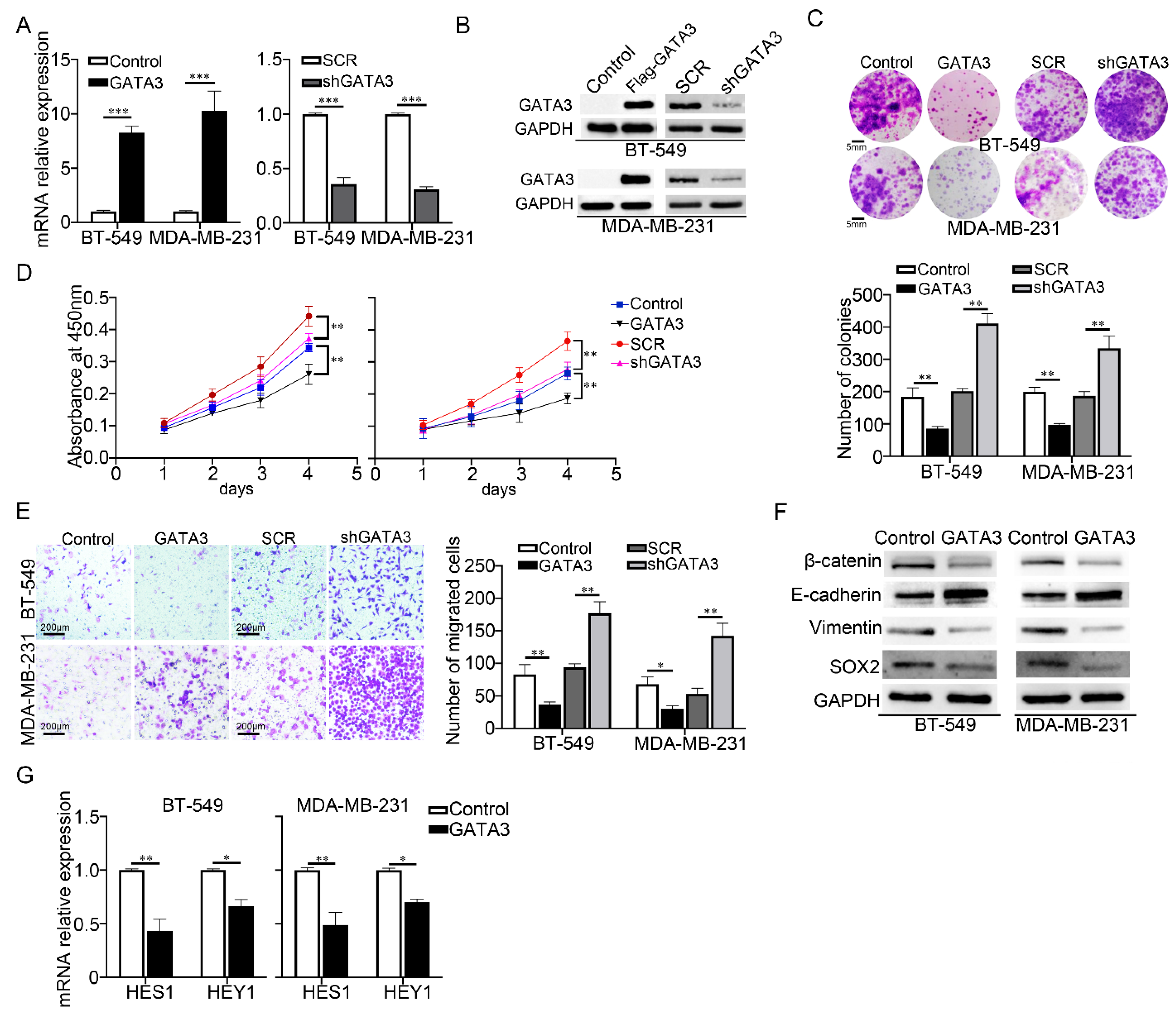 Cancers 14 03057 g003