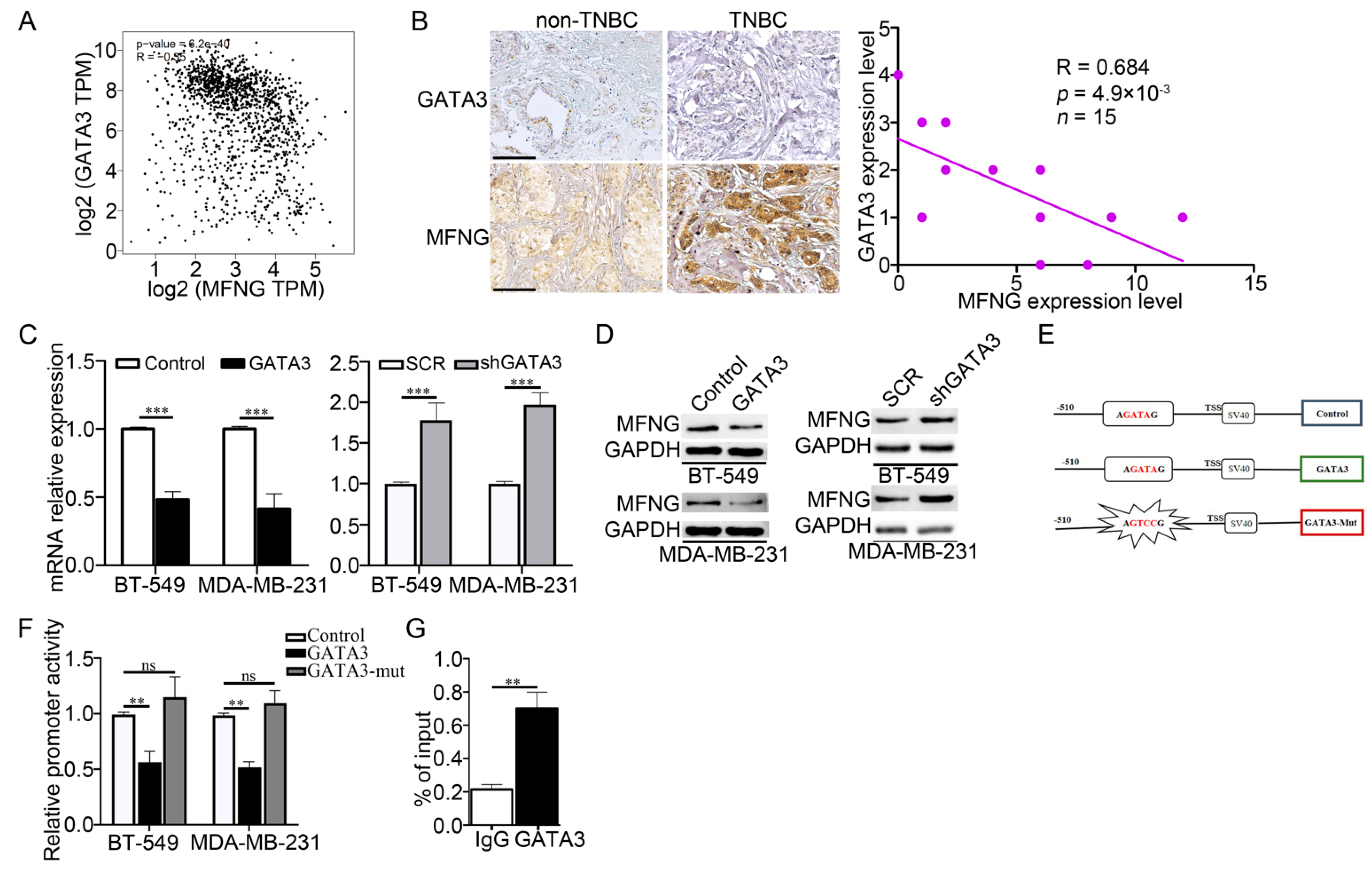 Cancers 14 03057 g004