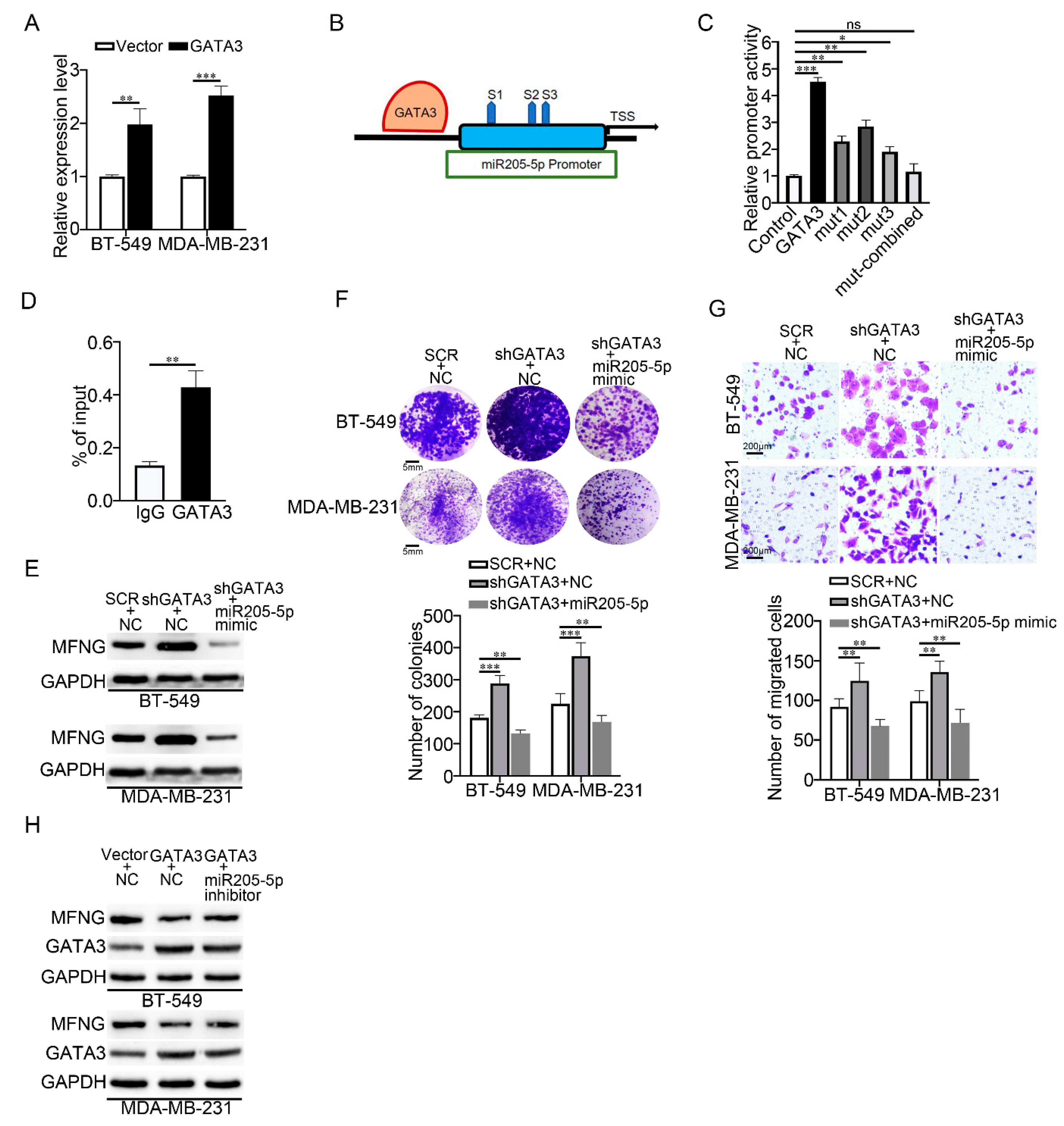 Cancers 14 03057 g006