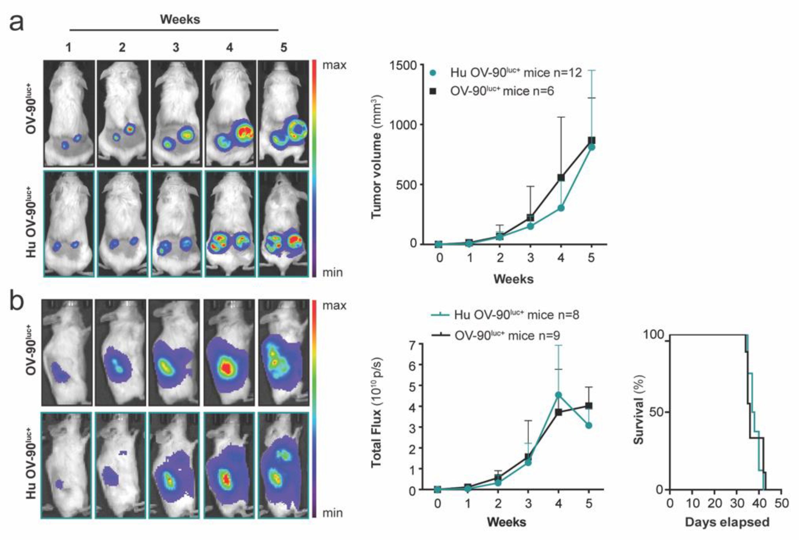 Cancers 14 03092 g004