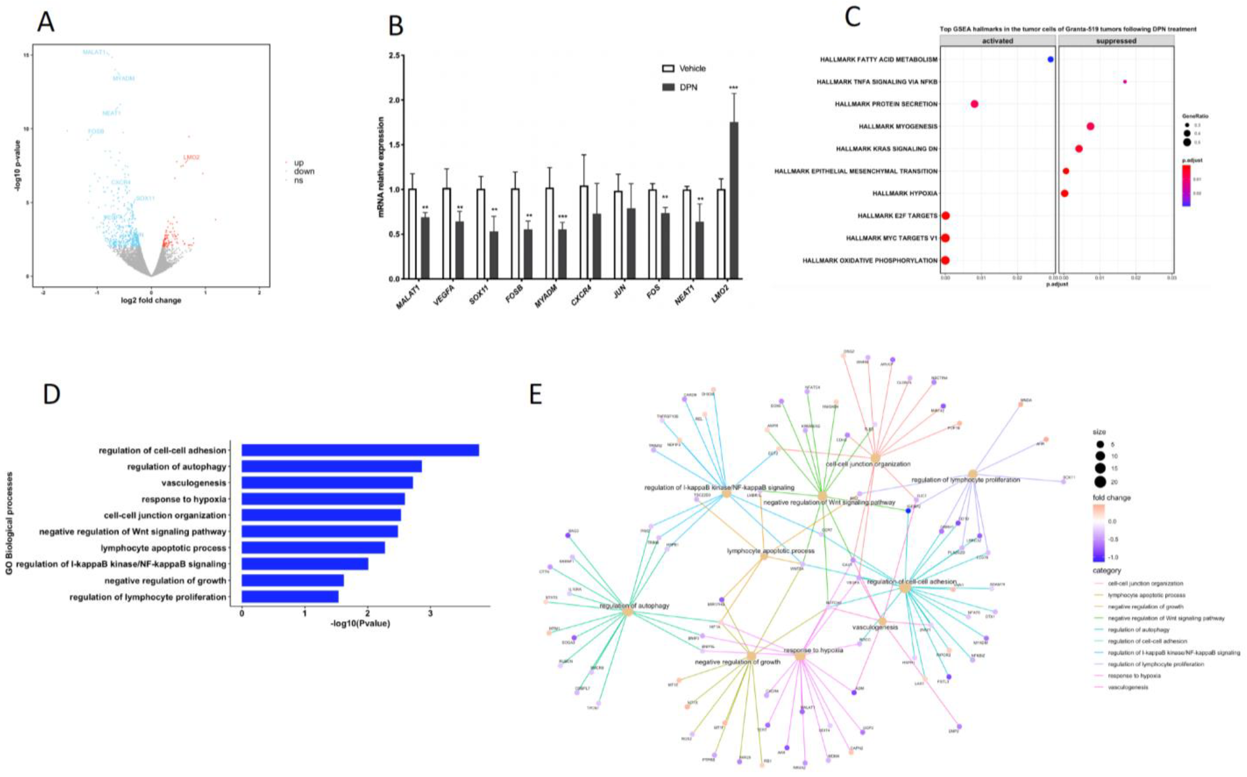 Cancers 14 03098 g002