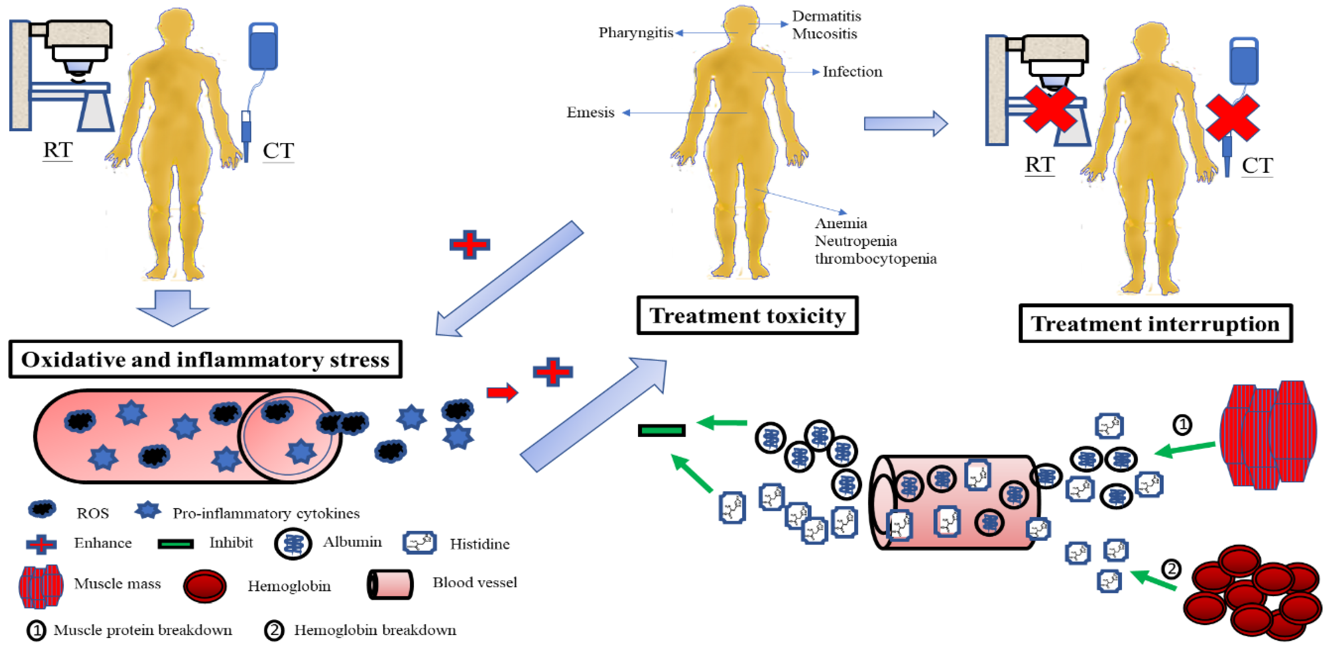 Cancers 14 03112 g004 Cancers 14 03112 g004