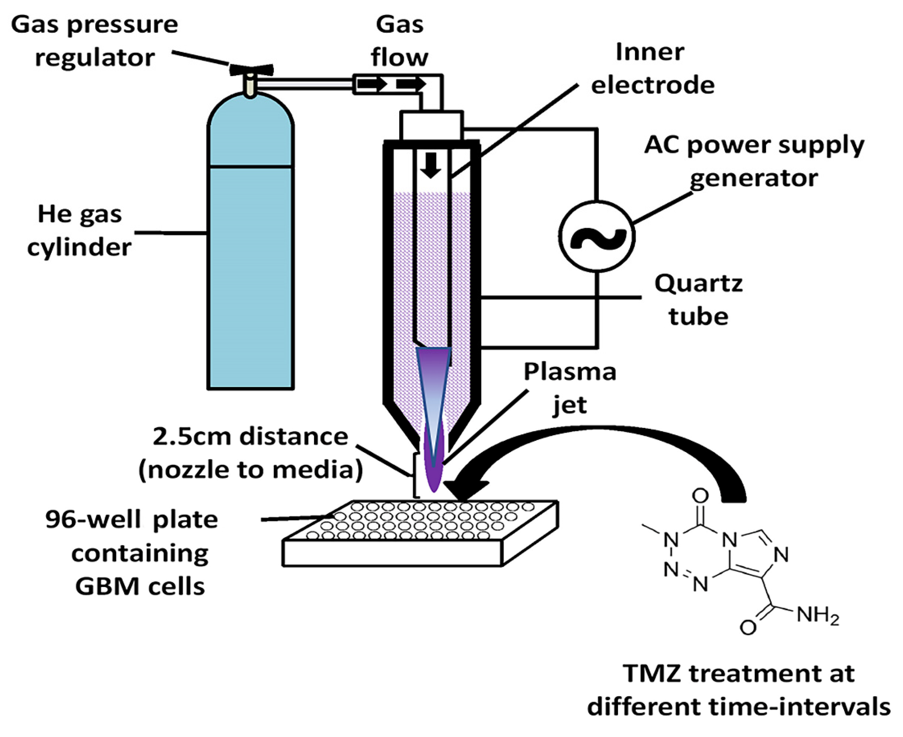 Cancers 14 03116 g001