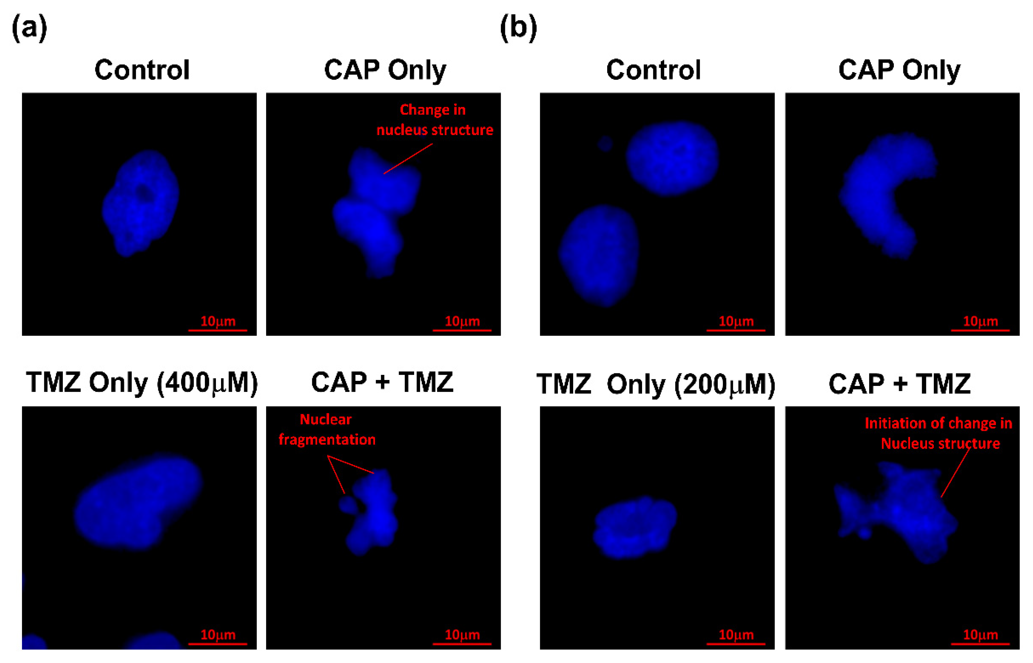 Cancers 14 03116 g007