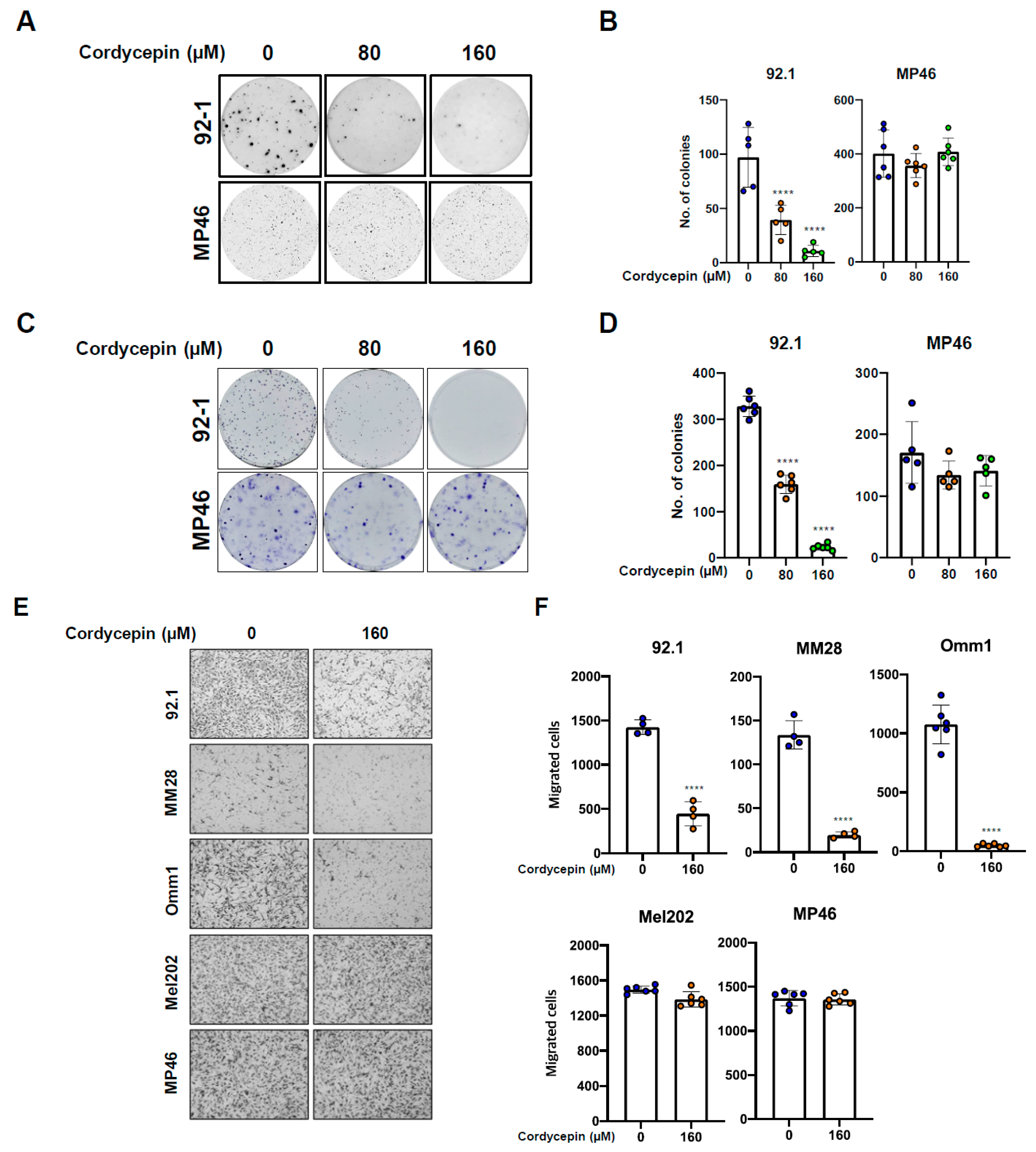 Cancers 14 03122 g002