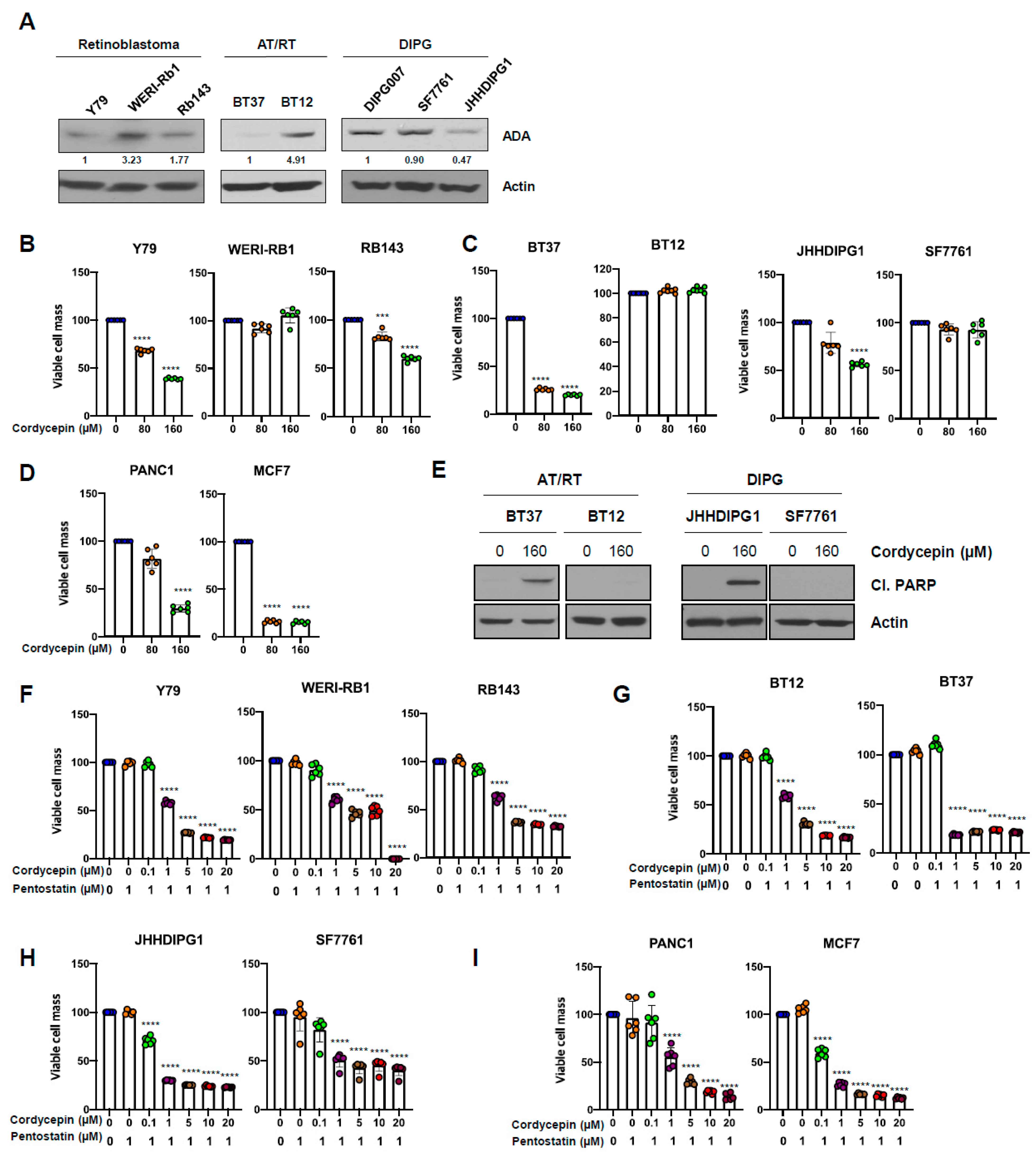 Cancers 14 03122 g006