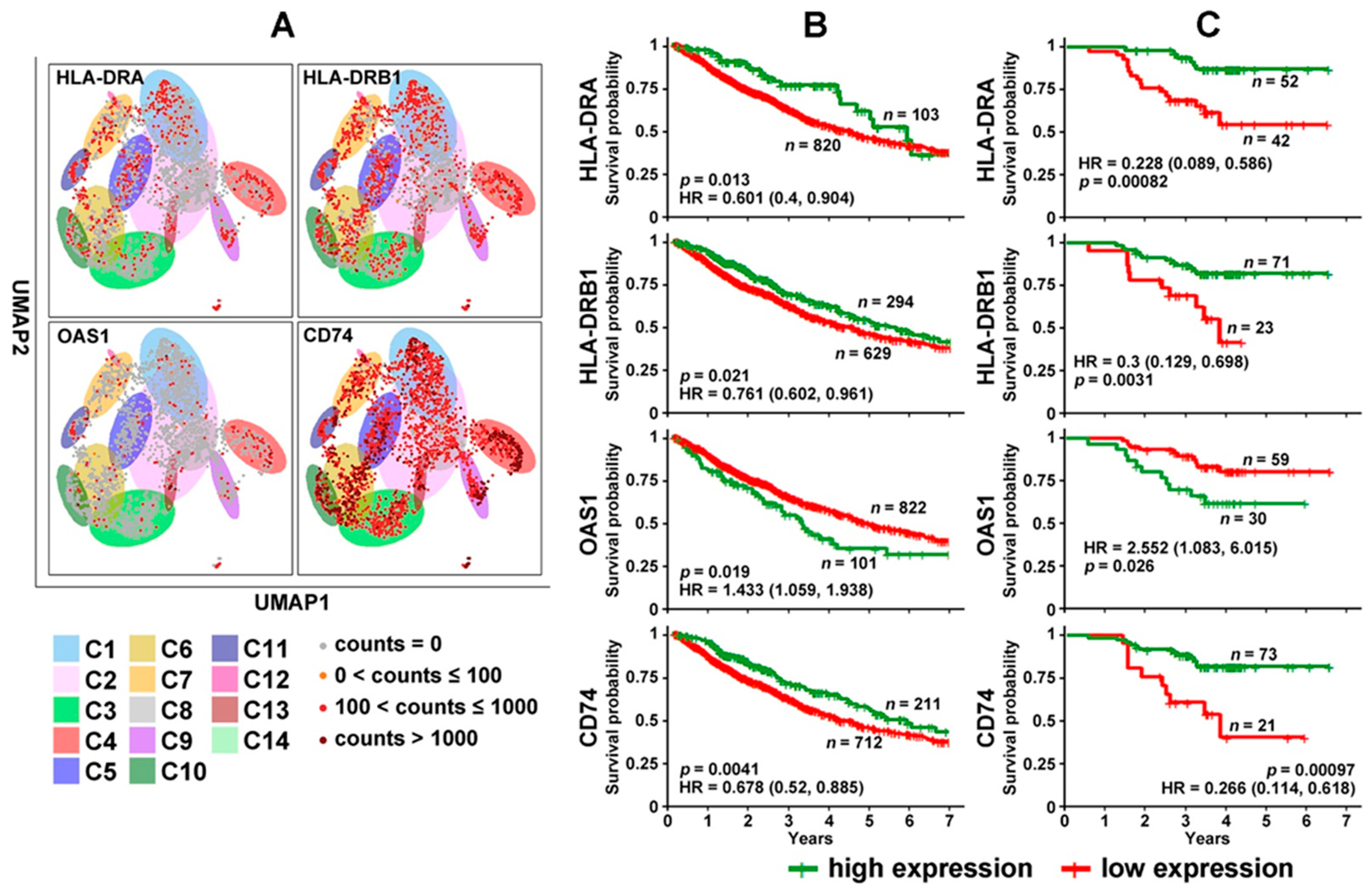 Cancers 14 03123 g003