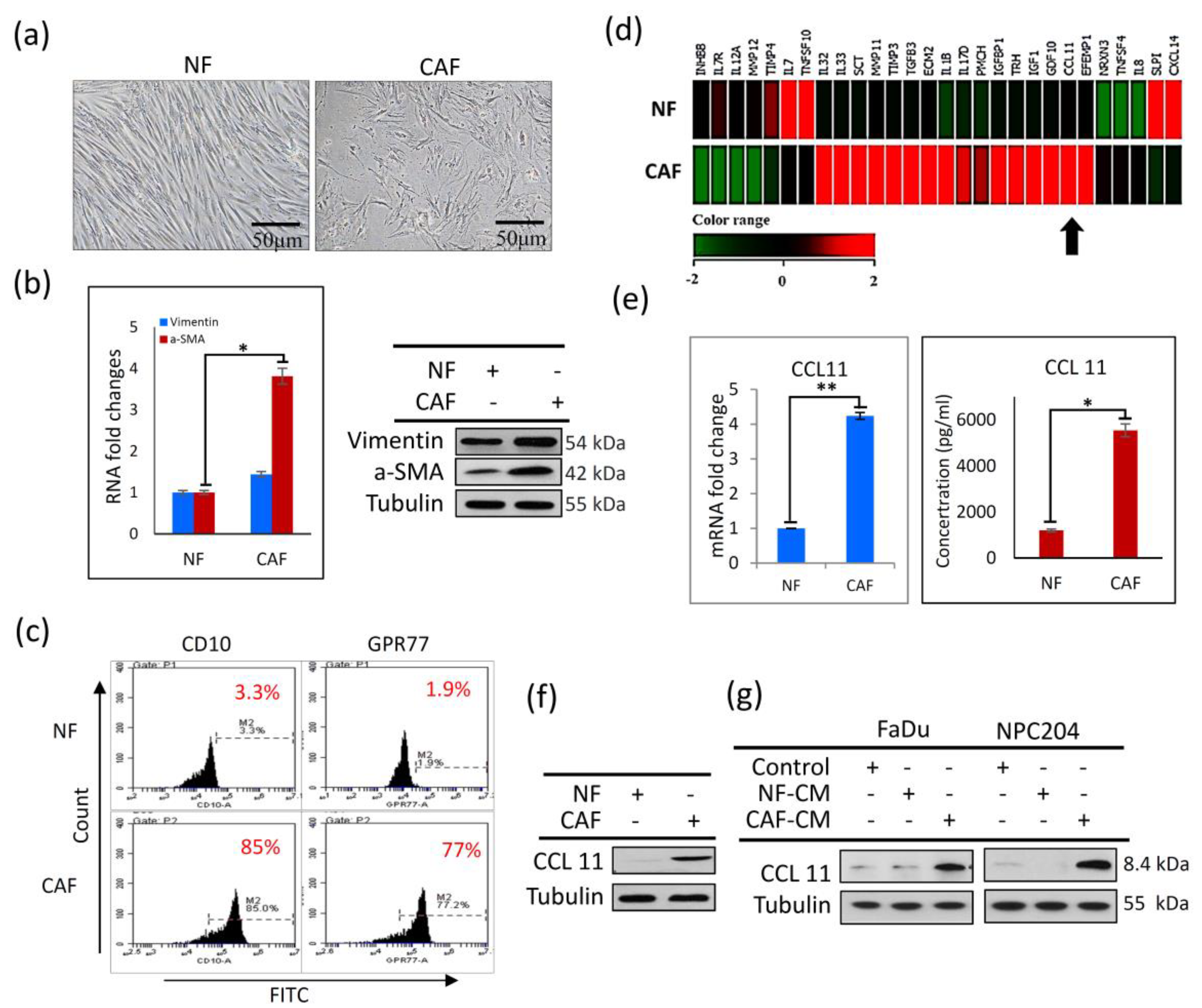 Cancers 14 03141 g001