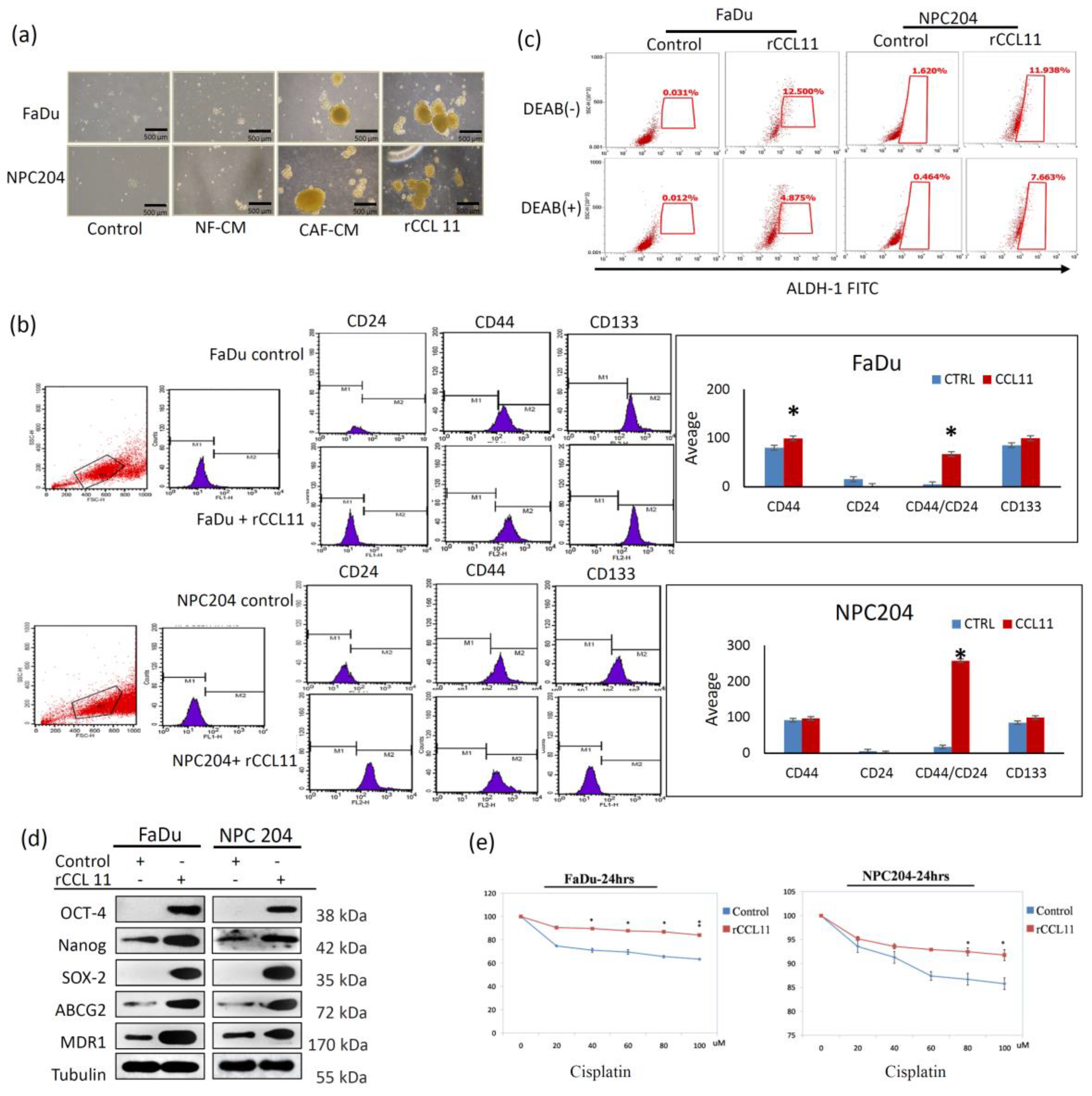 Cancers 14 03141 g003
