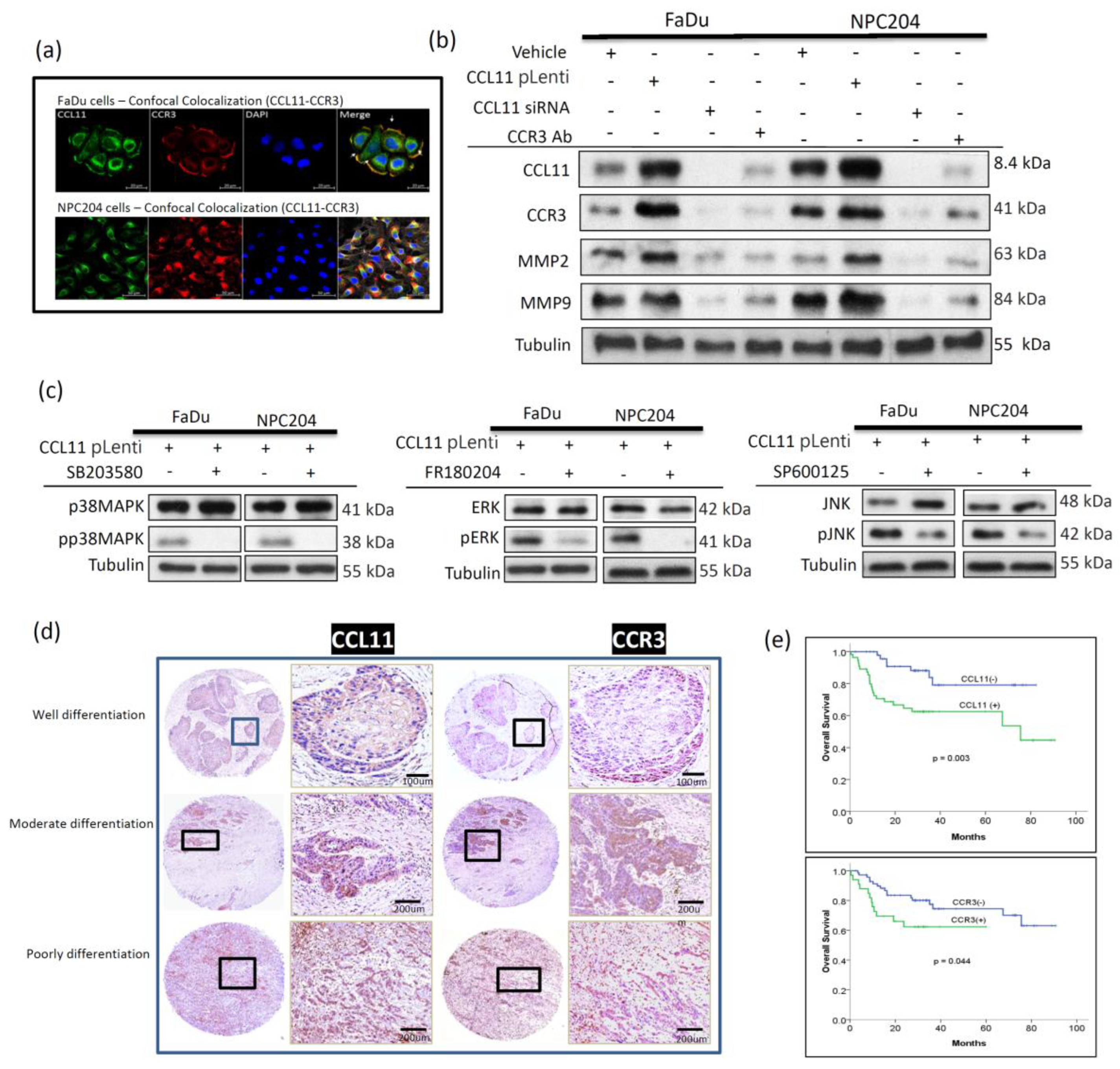 Cancers 14 03141 g004