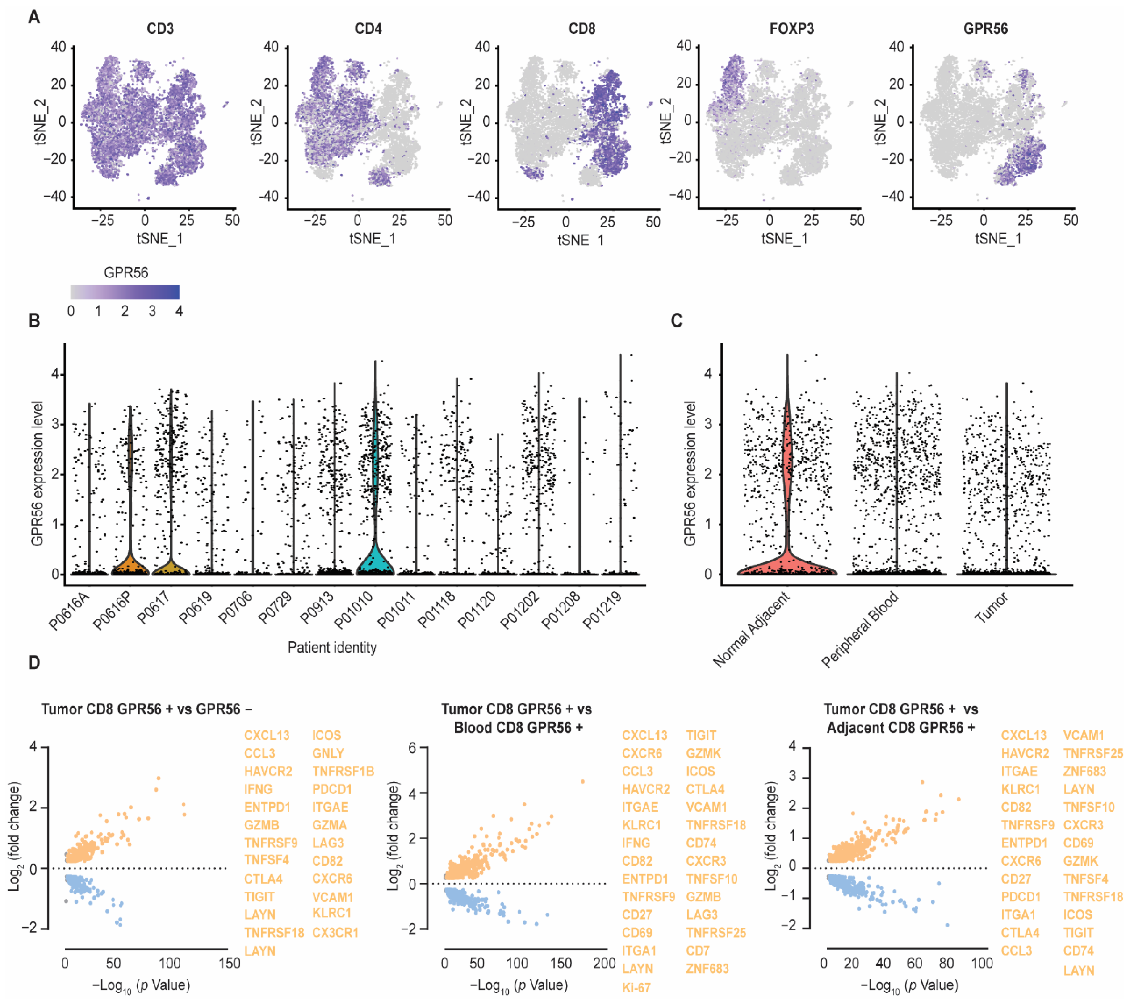 Cancers 14 03164 g002