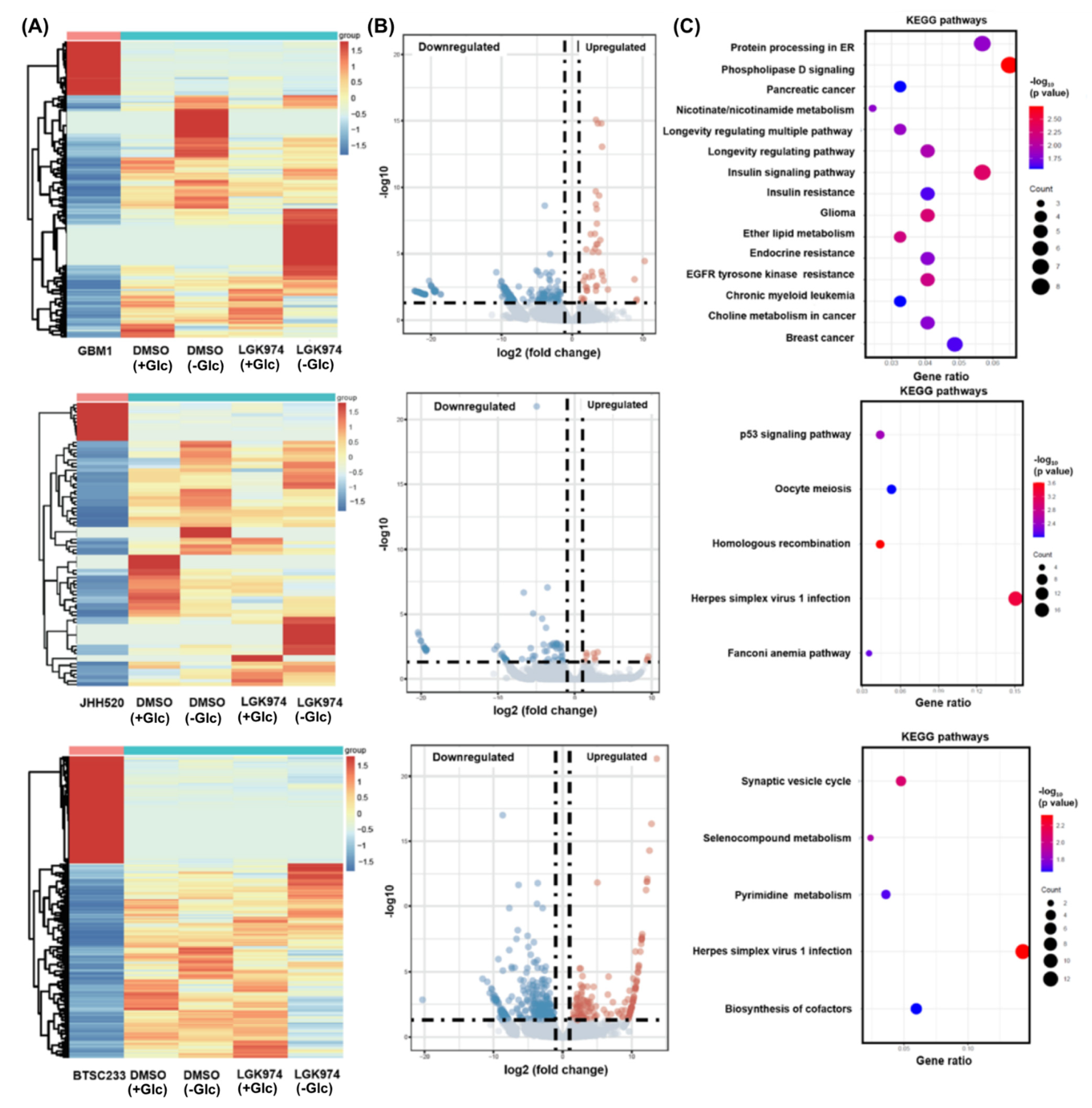 Cancers 14 03165 g004