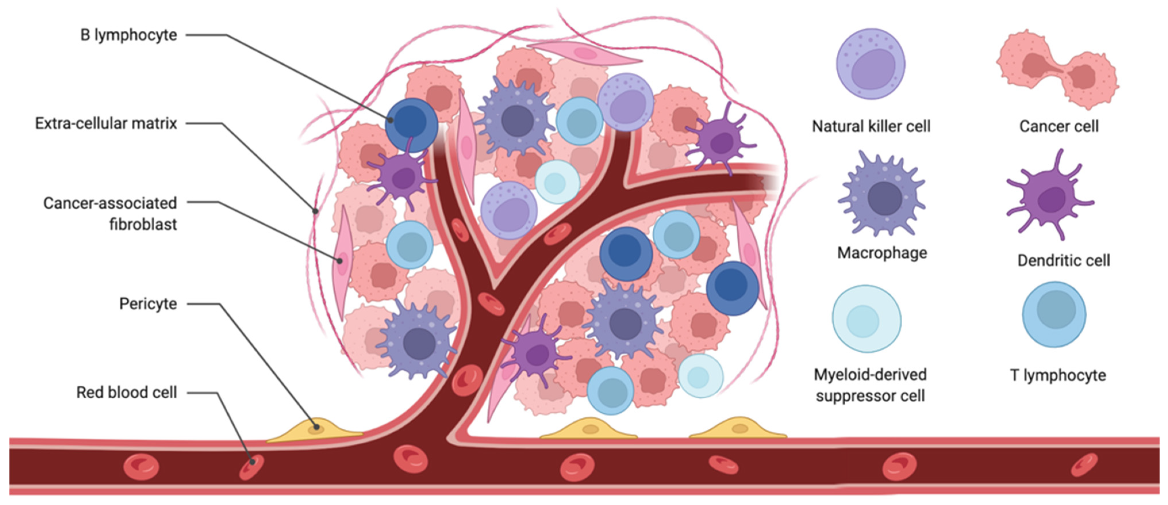 Cancers 14 03167 g001