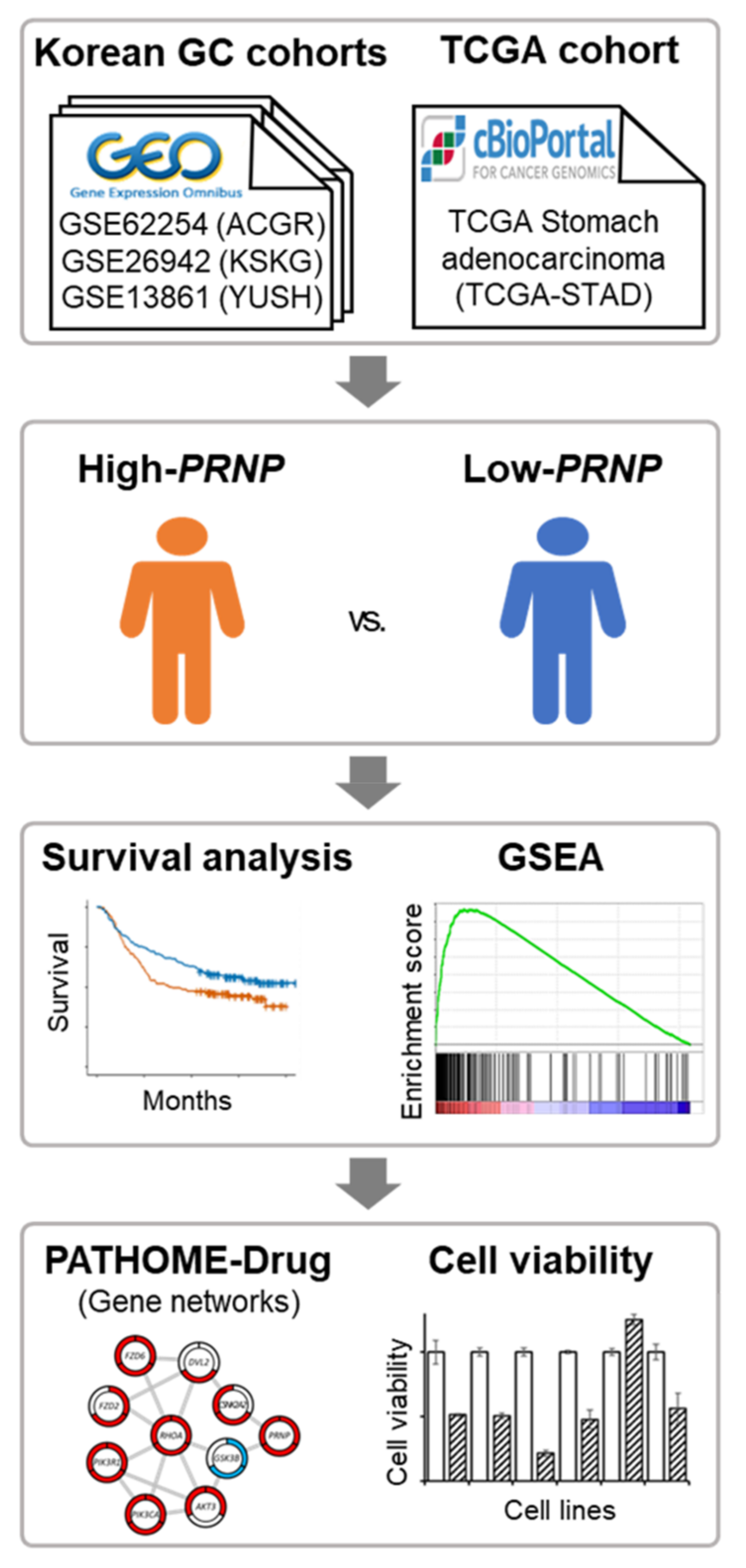Cancers 14 03173 g001 Cancers 14 03173 g001
