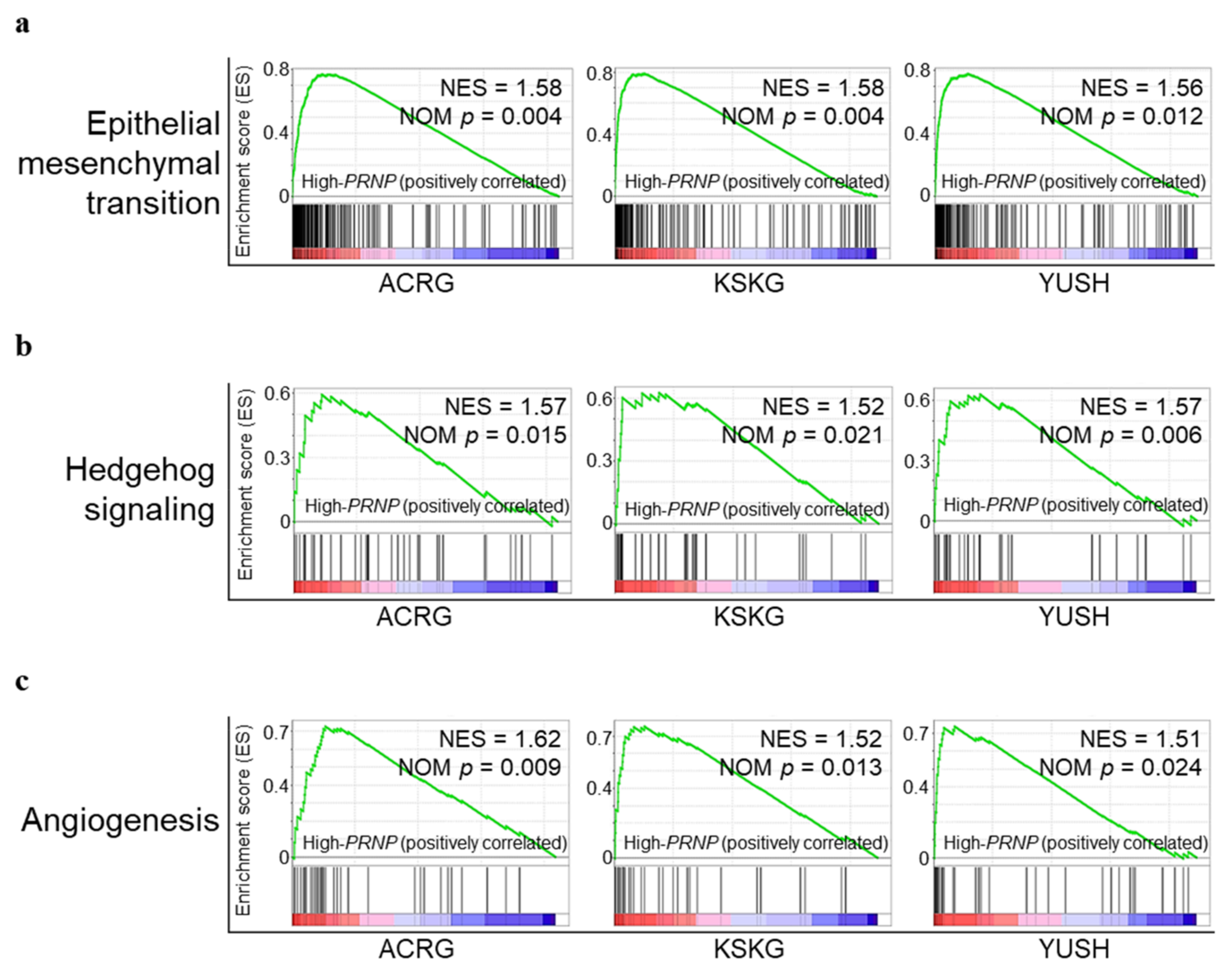 Cancers 14 03173 g003 Cancers 14 03173 g003