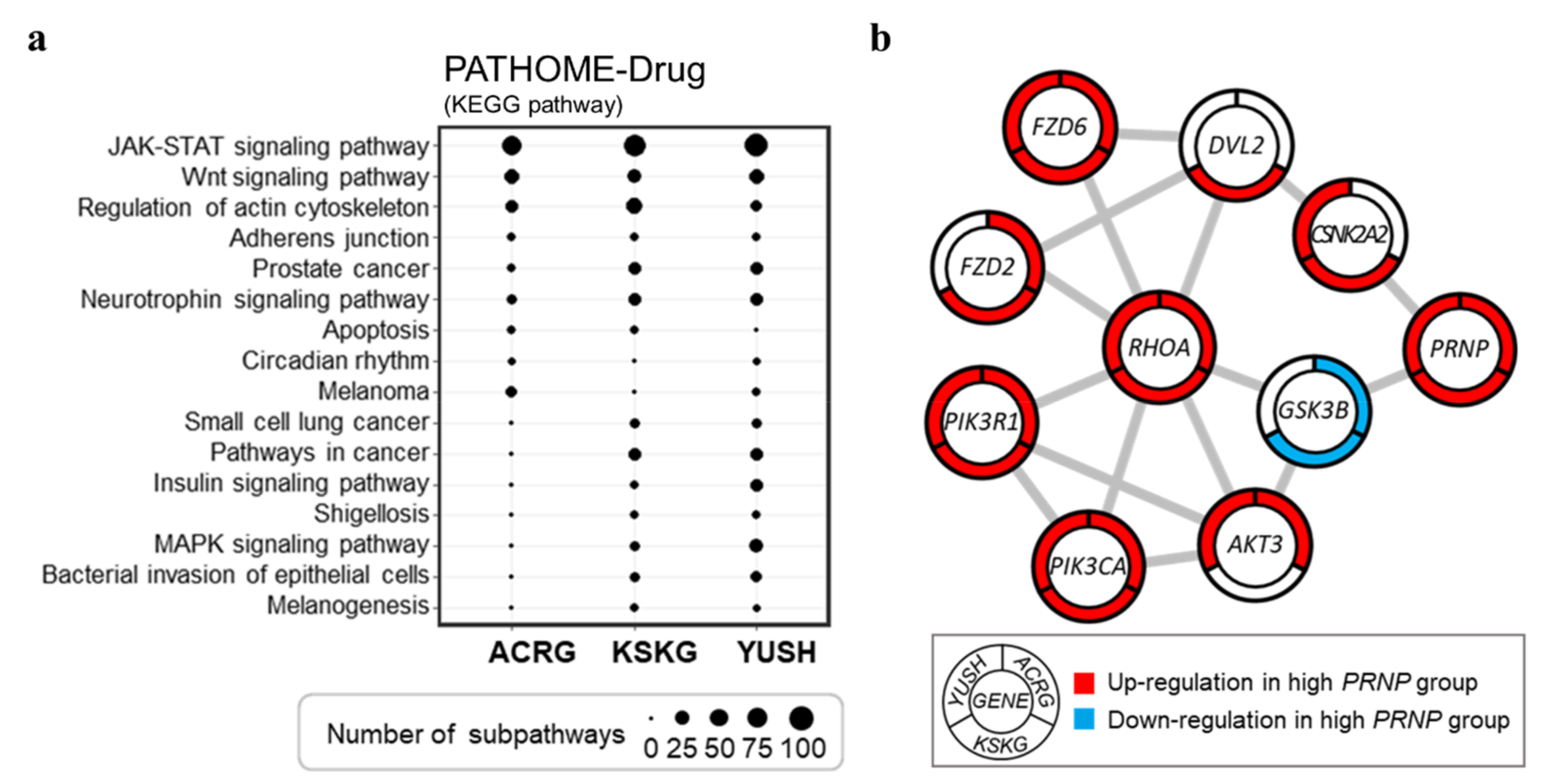 Cancers 14 03173 g004 Cancers 14 03173 g004