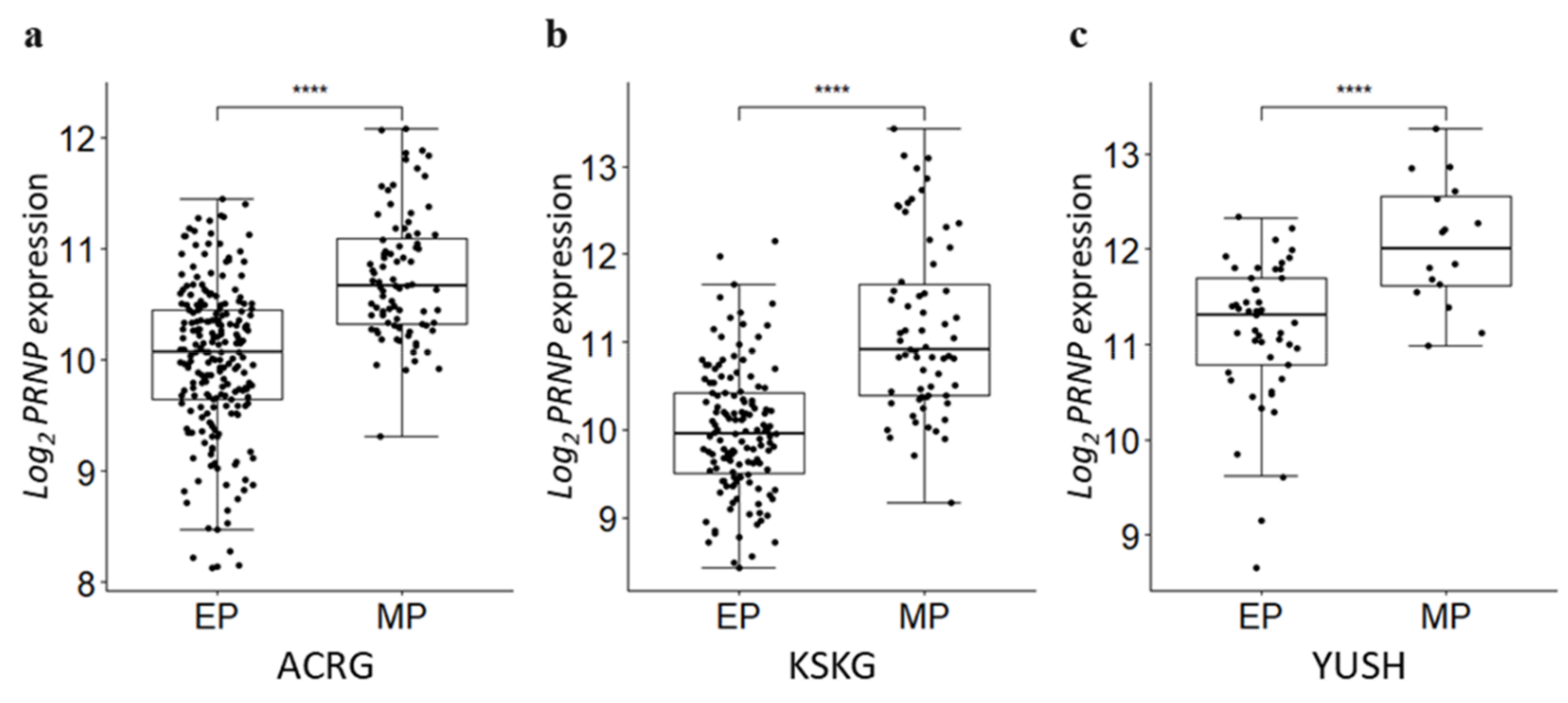 Cancers 14 03173 g006 Cancers 14 03173 g006