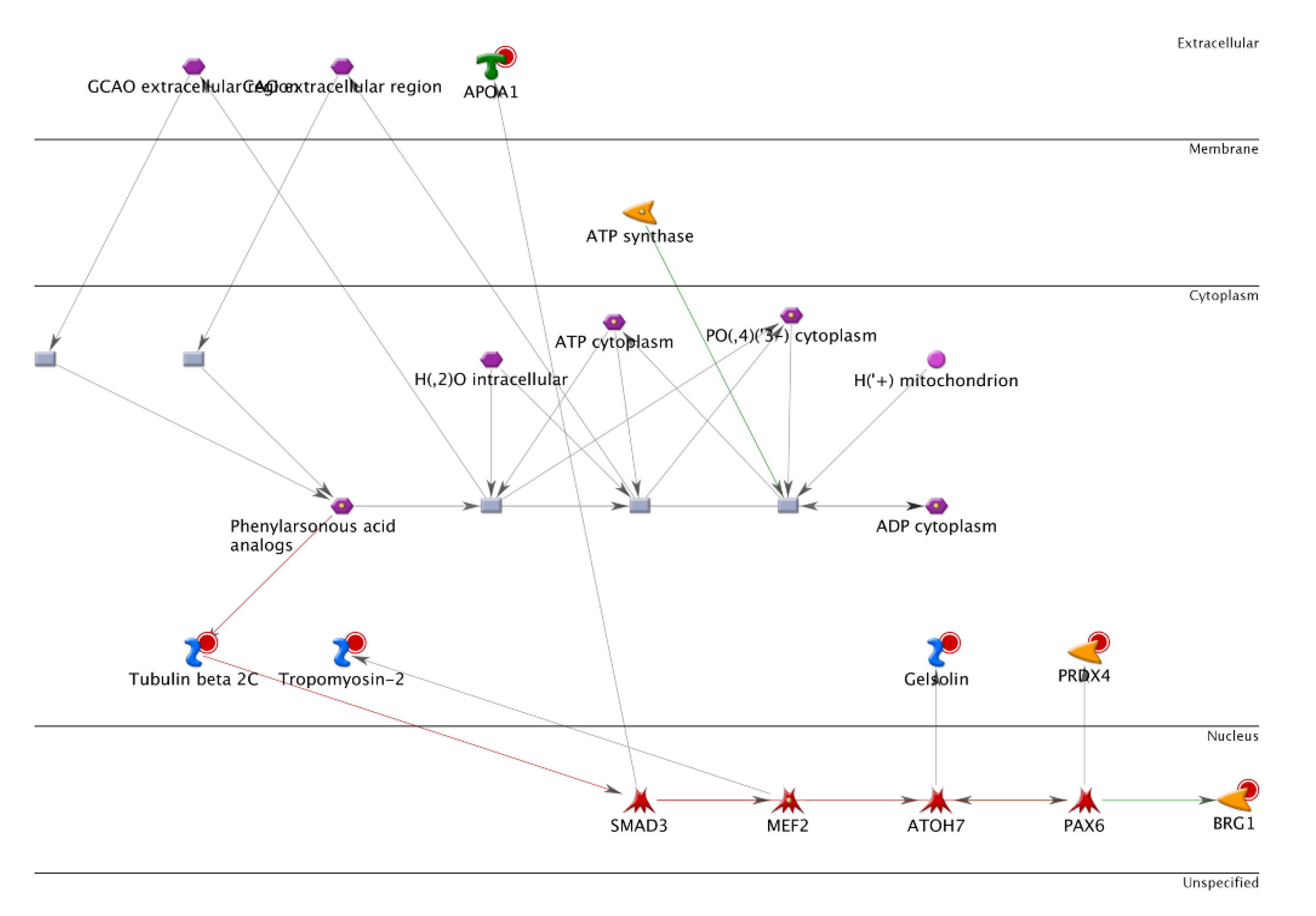 Cancers 14 03189 g003