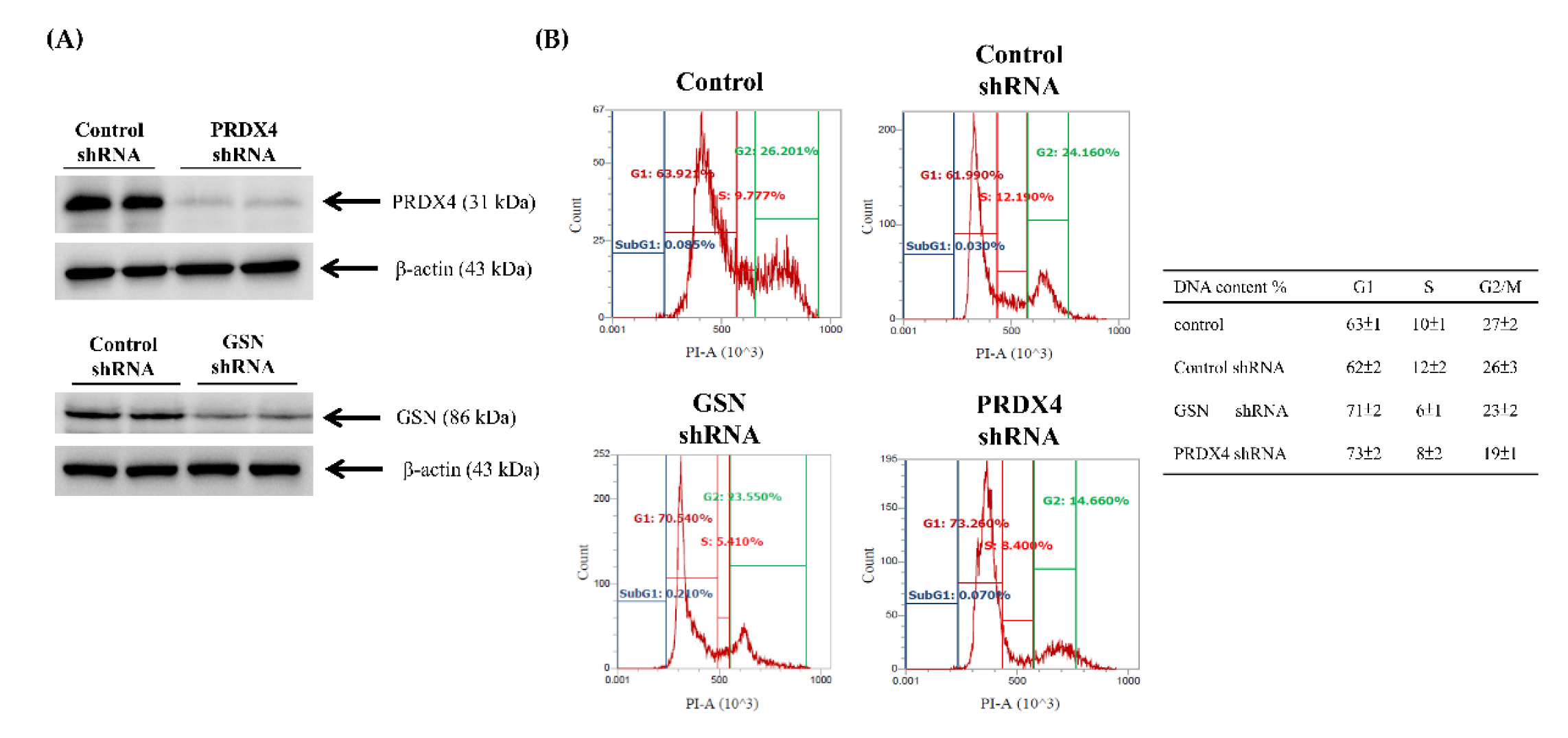 Cancers 14 03189 g005