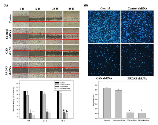 Cancers 14 03189 g006