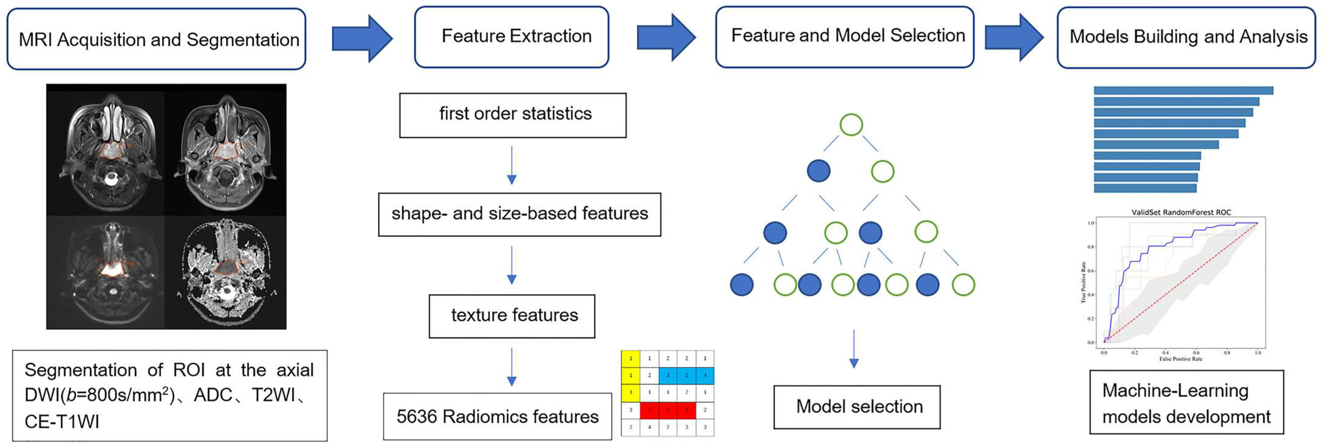 PDF) Advancements in MRI-Based Radiomics and Artificial Intelligence for  Prostate Cancer: A Comprehensive Review and Future Prospects