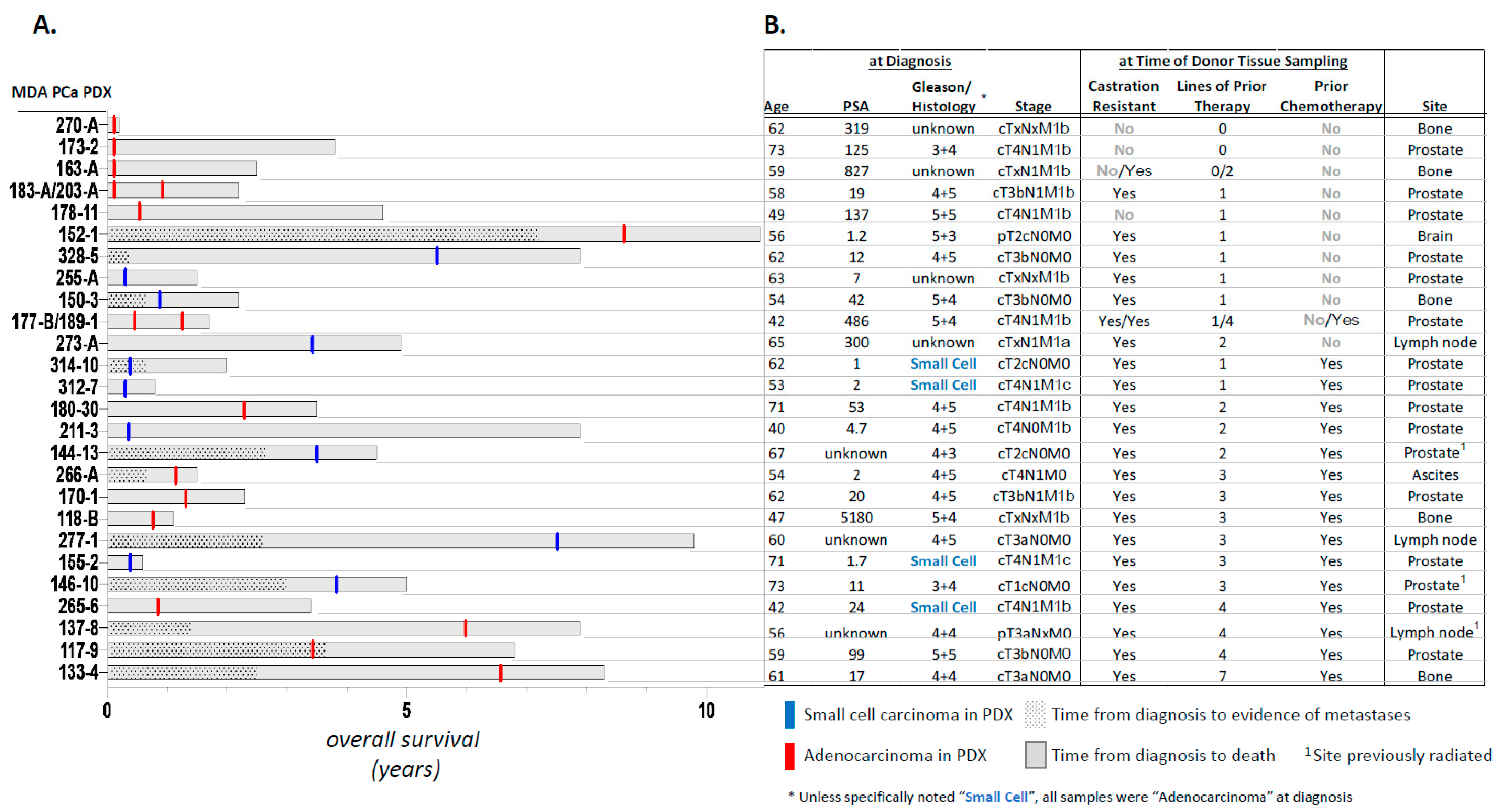 Cancers 14 03233 g001