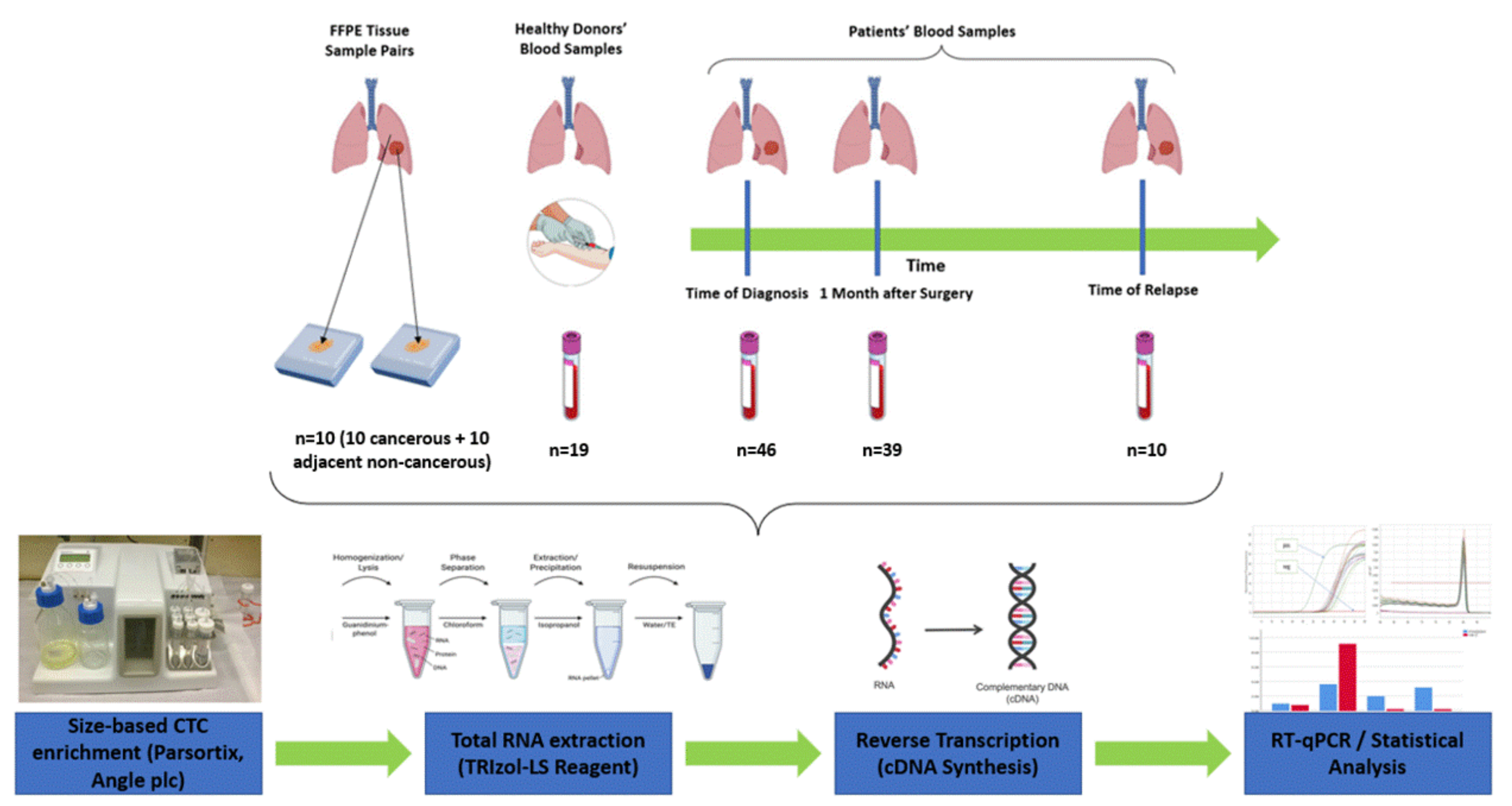 Cancers 14 03237 g001