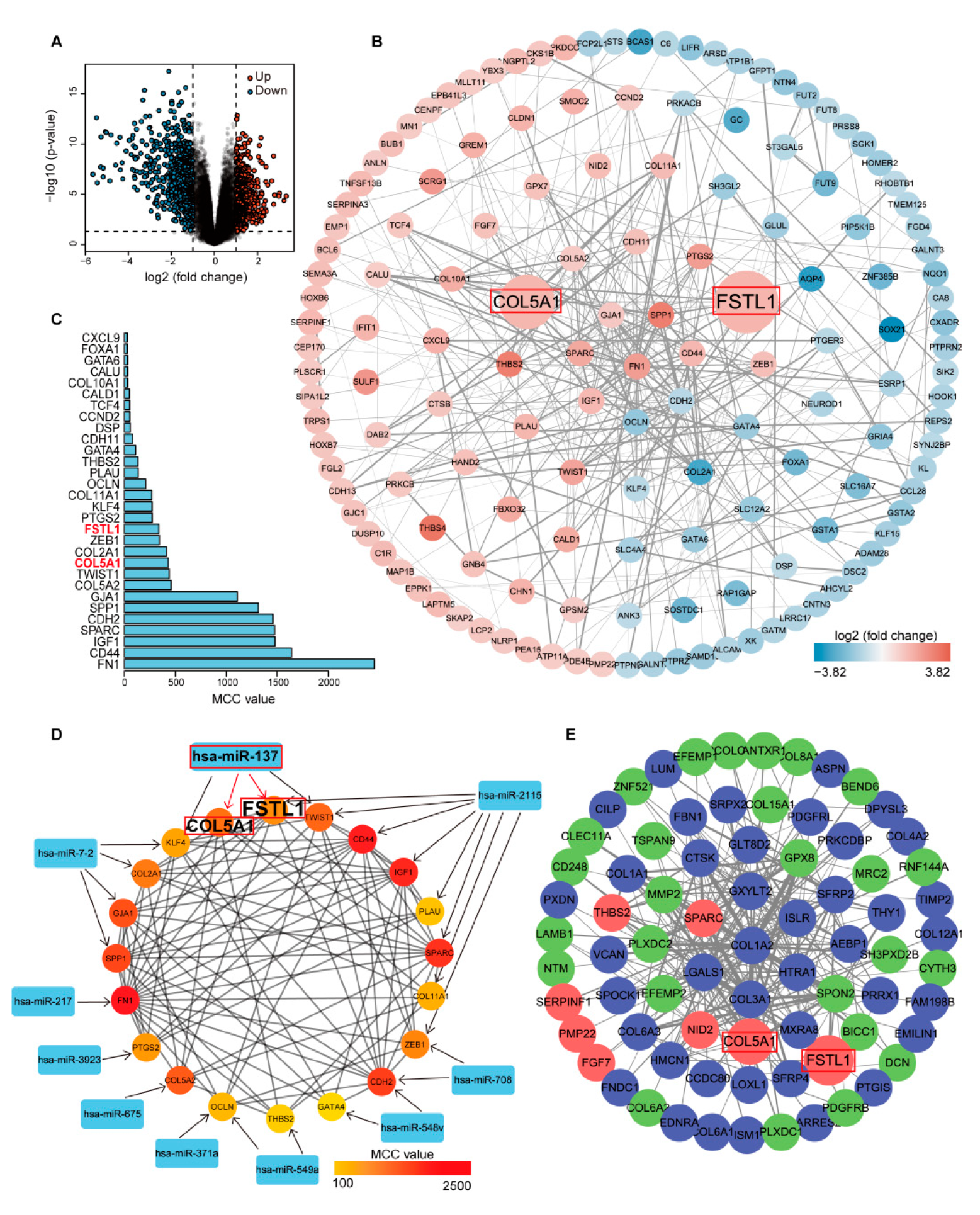 Cancers 14 03244 g002