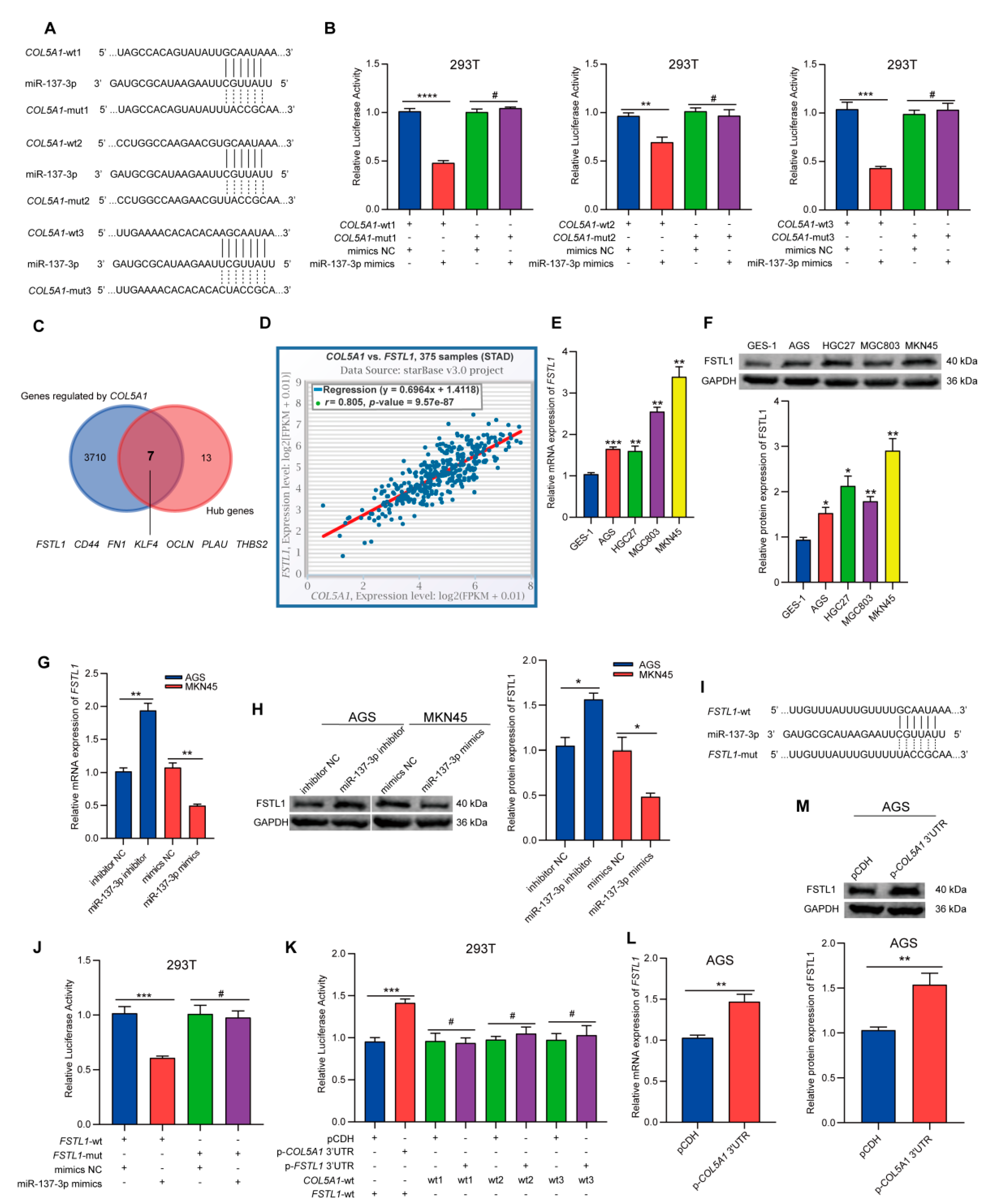 Cancers 14 03244 g004