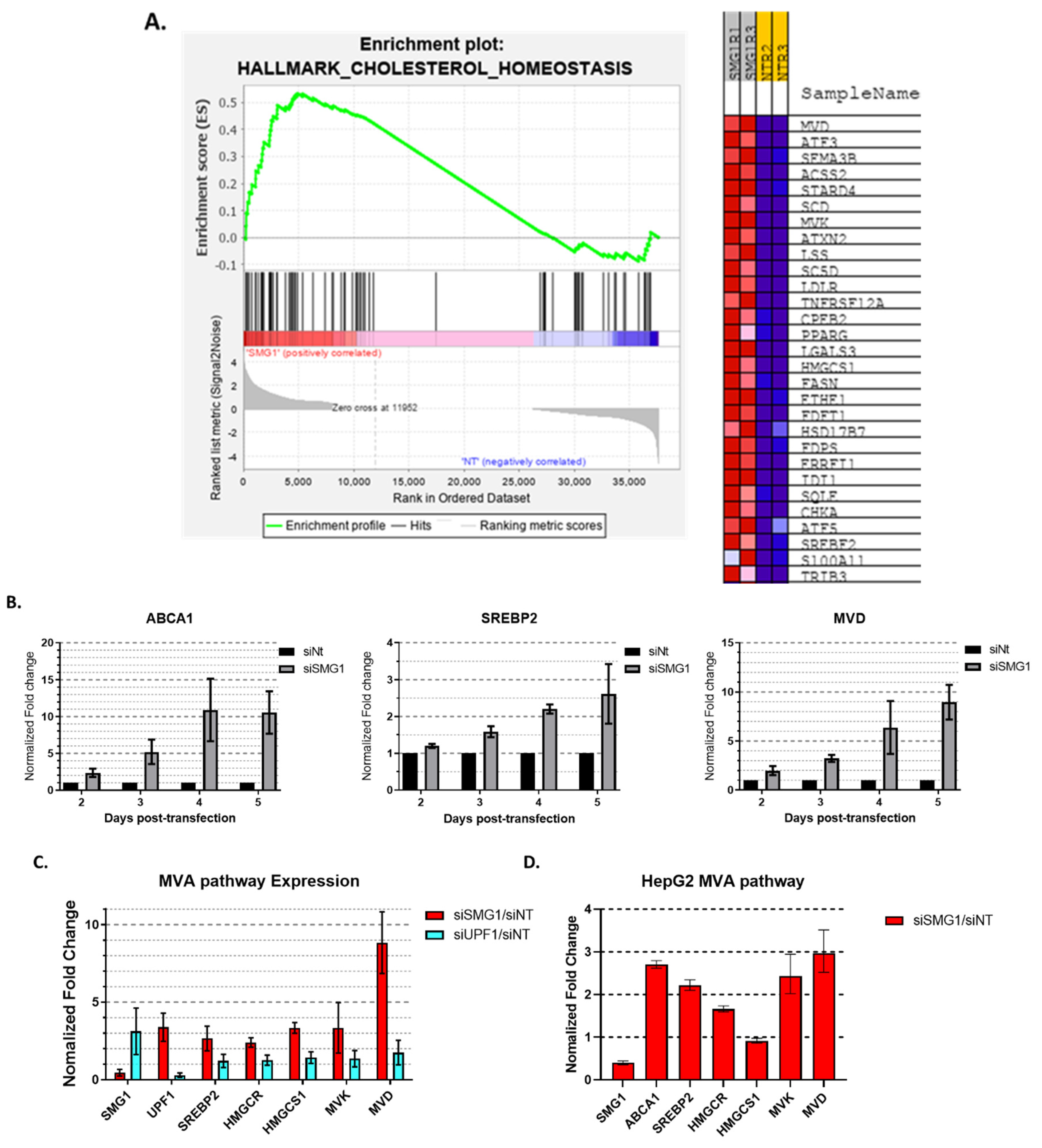 Cancers 14 03255 g001