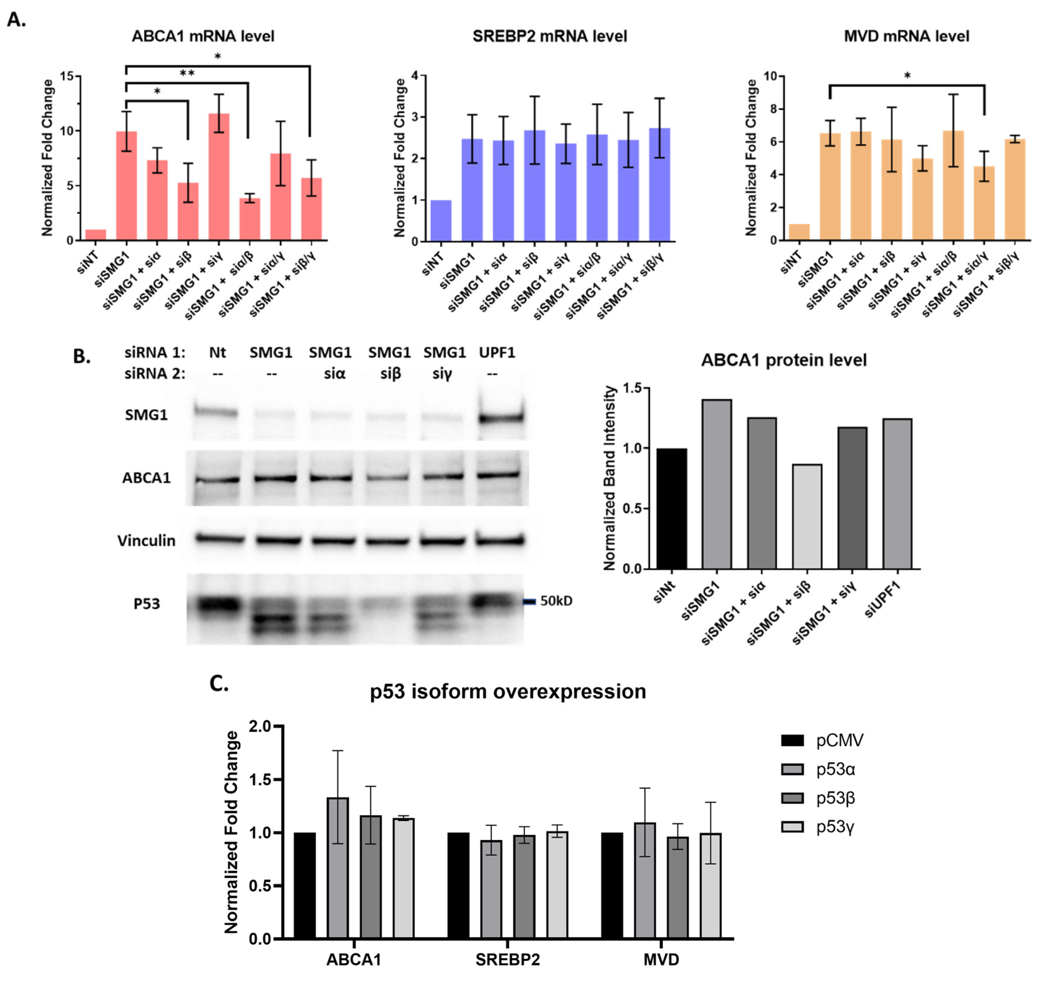 Cancers 14 03255 g003