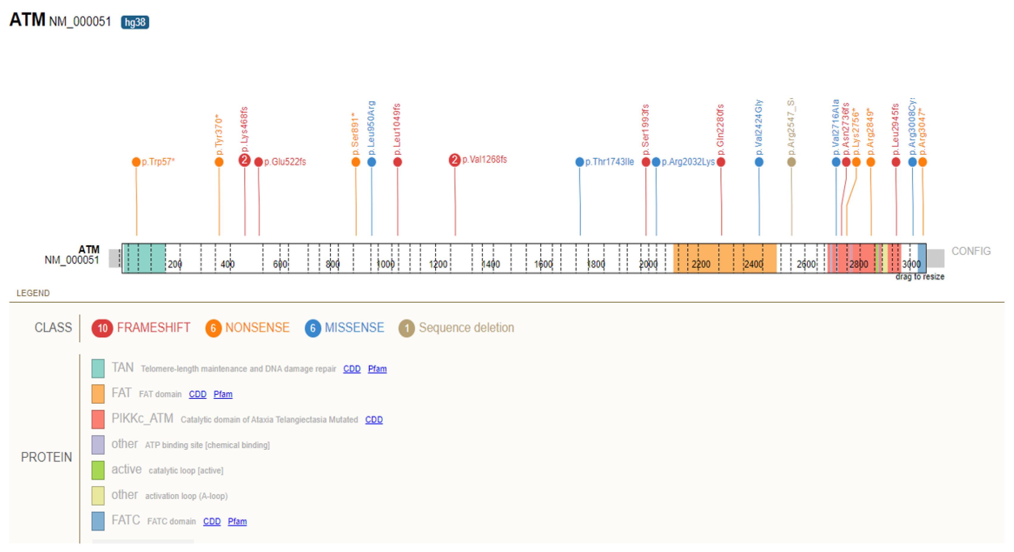 Cancers 14 03257 g001