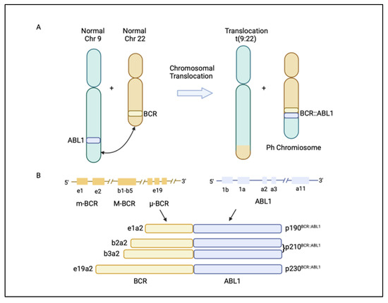 CLL Society Introduces the Protecting Innovation in Rare Cancers