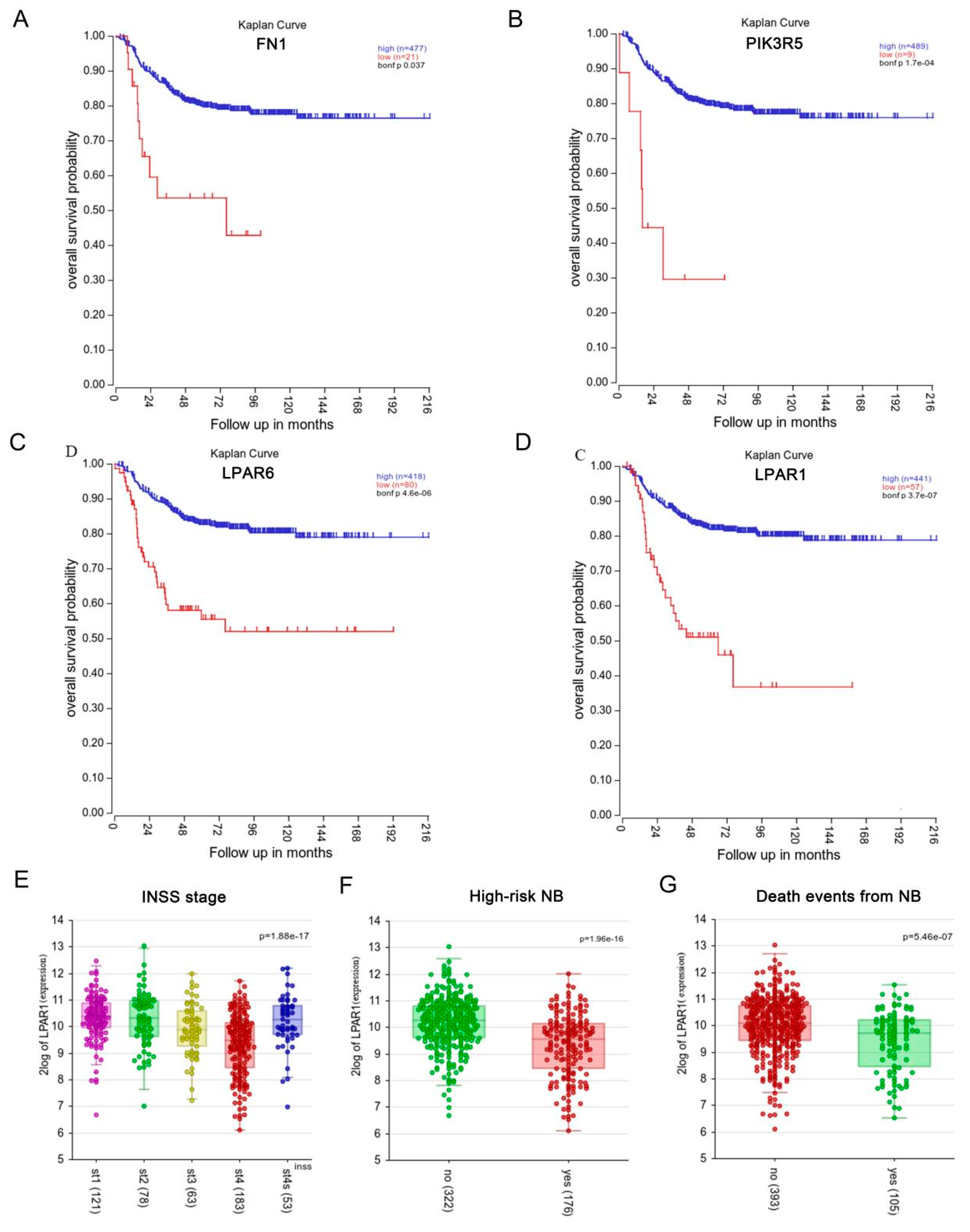 Cancers 14 03346 g003