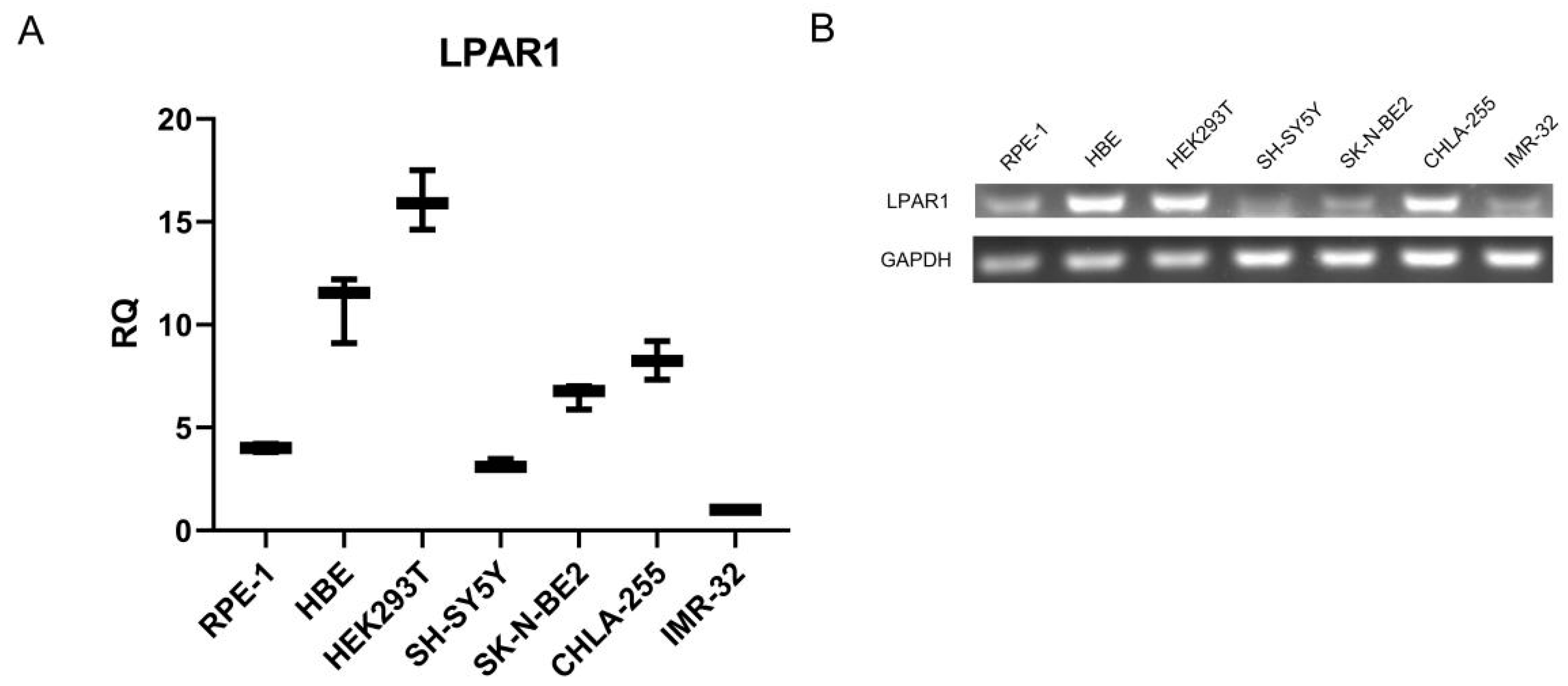 Cancers 14 03346 g004