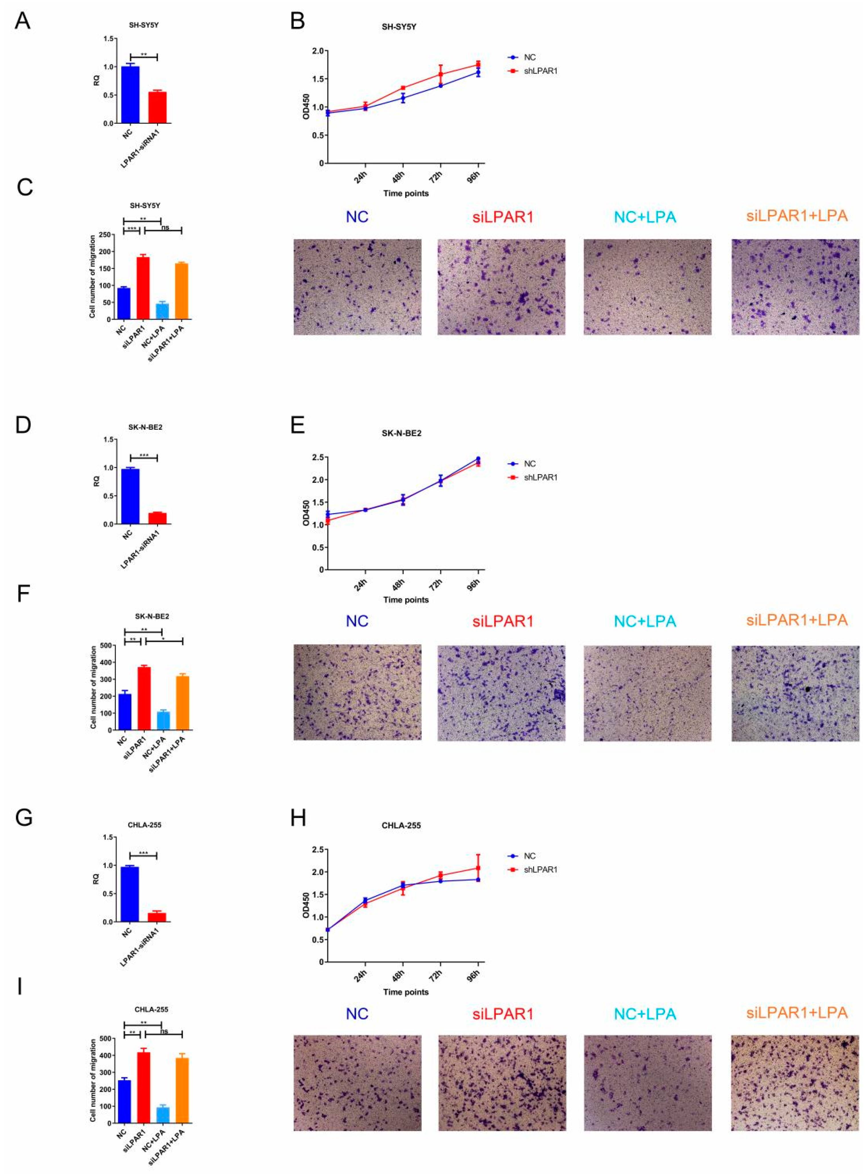 Cancers 14 03346 g006